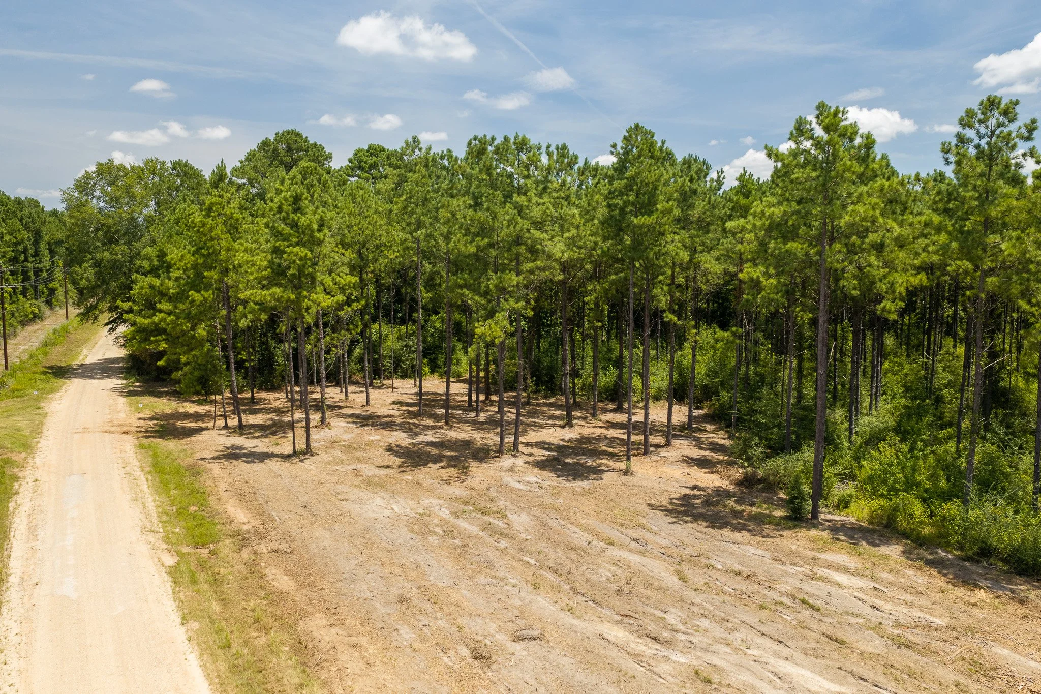 woodville-37.jpg