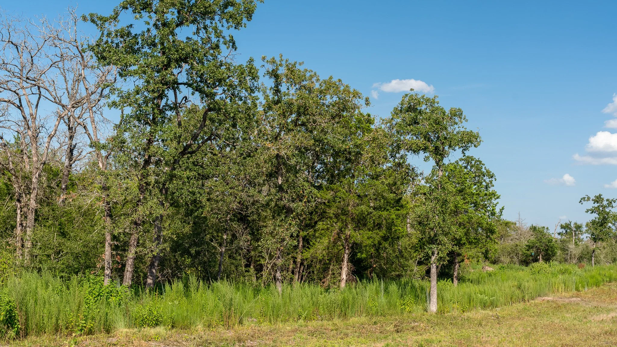 landscape-crestwood-40.jpg