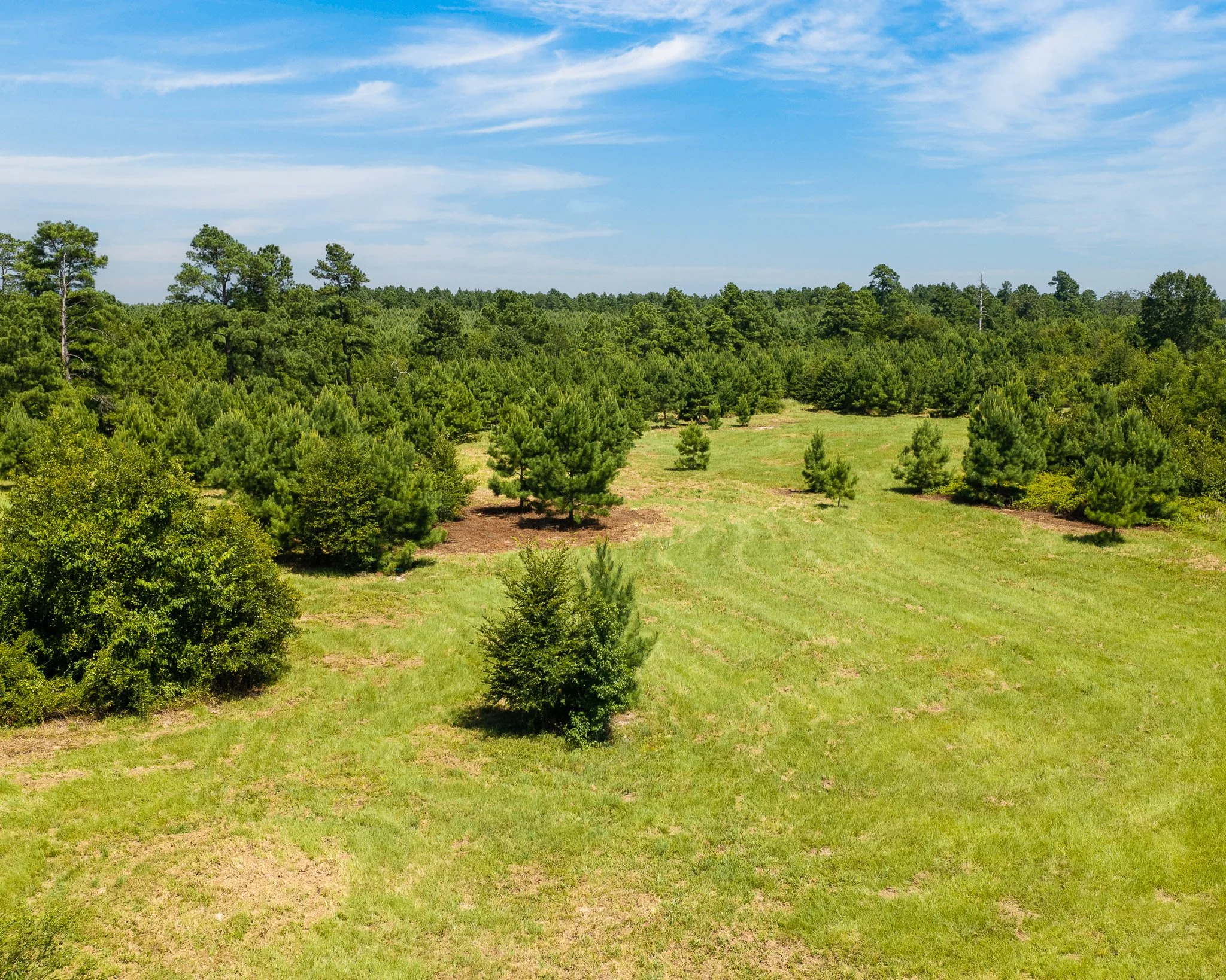 portrait-ratio-aerial-level--30.jpg