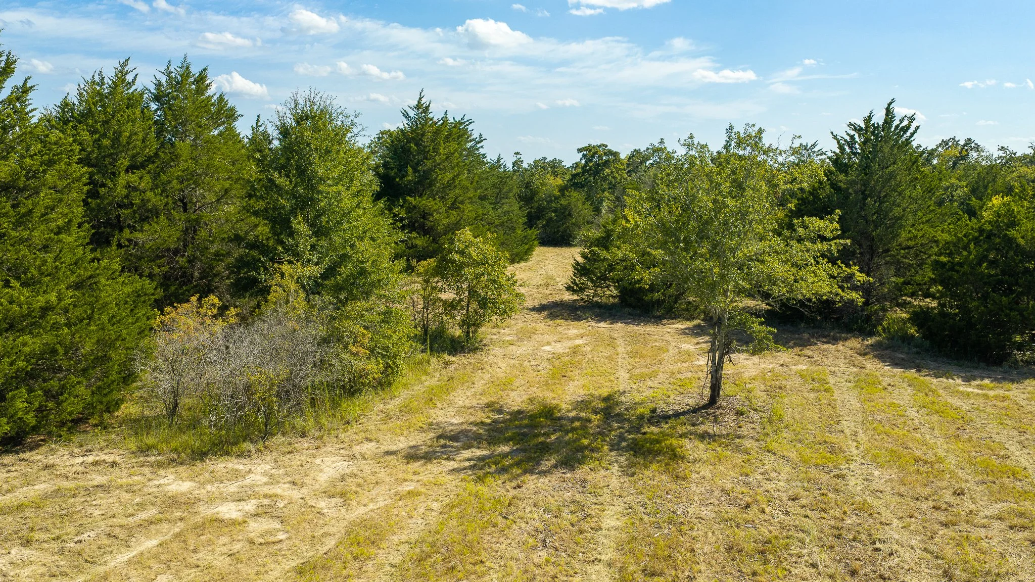 landscape-crestwood-9.jpg