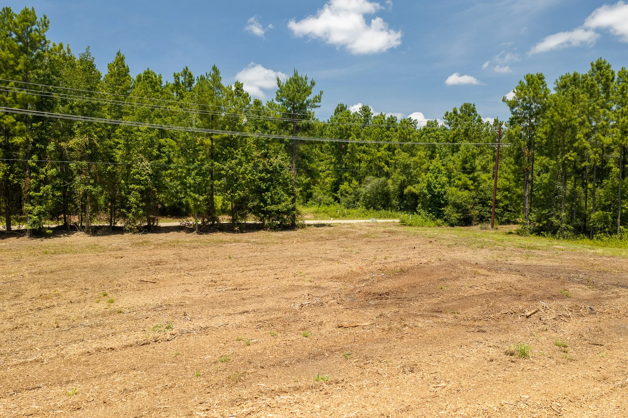 woodville-30.jpg