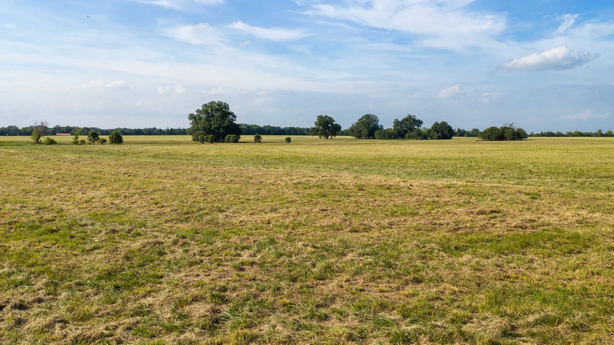 landscape-aerial-summerdale--15.jpg