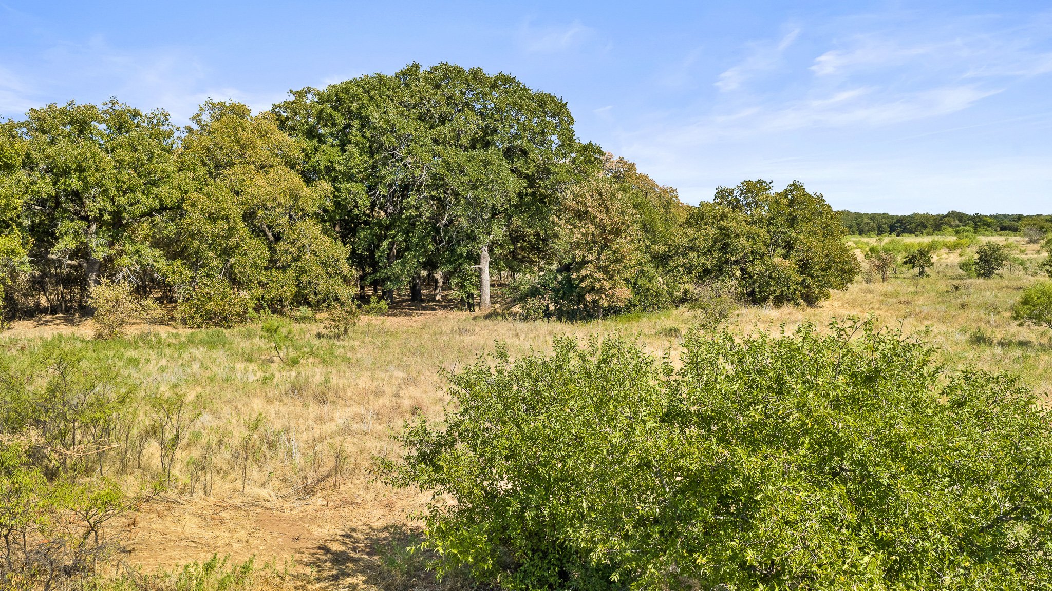 DJI_20260828164206_0401_D-Landscape.jpg
