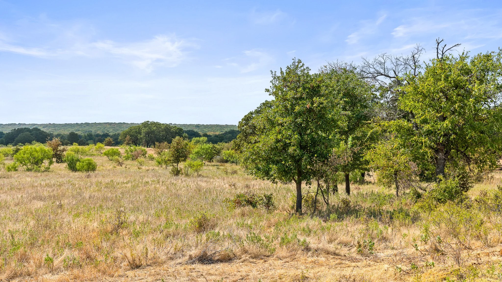 DSC09970-Landscape.jpg