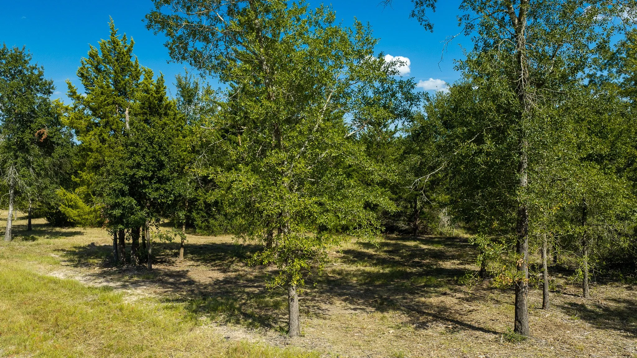 landscape-crestwood-5.jpg