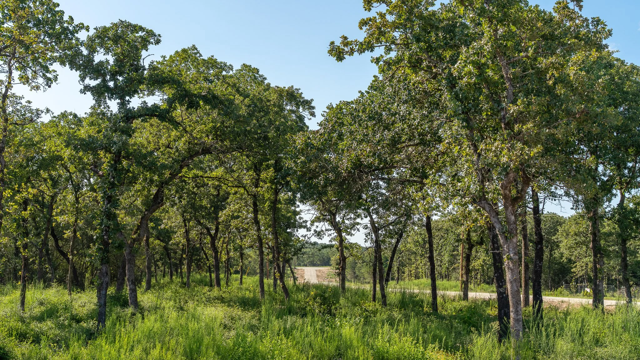 landscape-crestwood-62.jpg