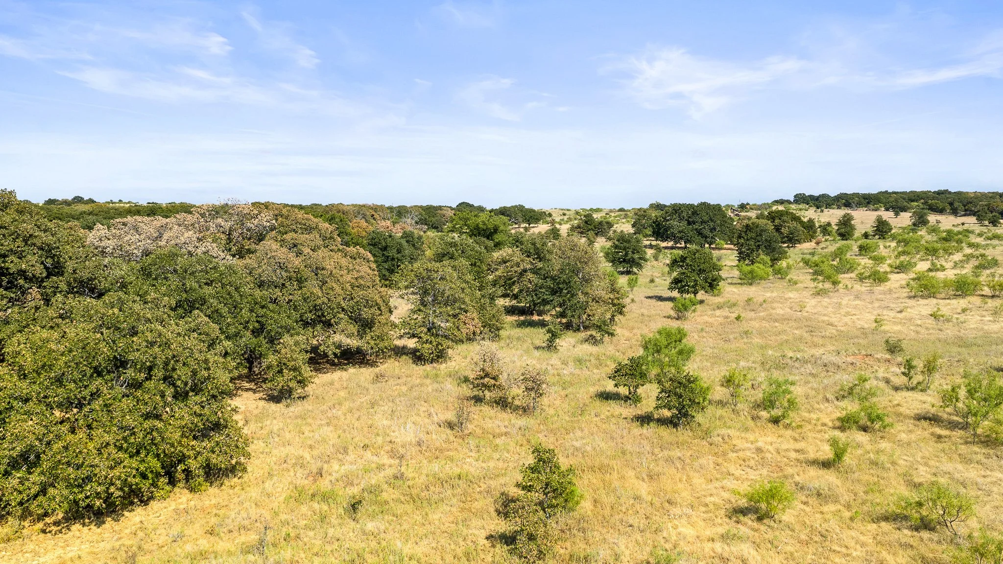 DJI_20260828164235_0403_D-Landscape.jpg