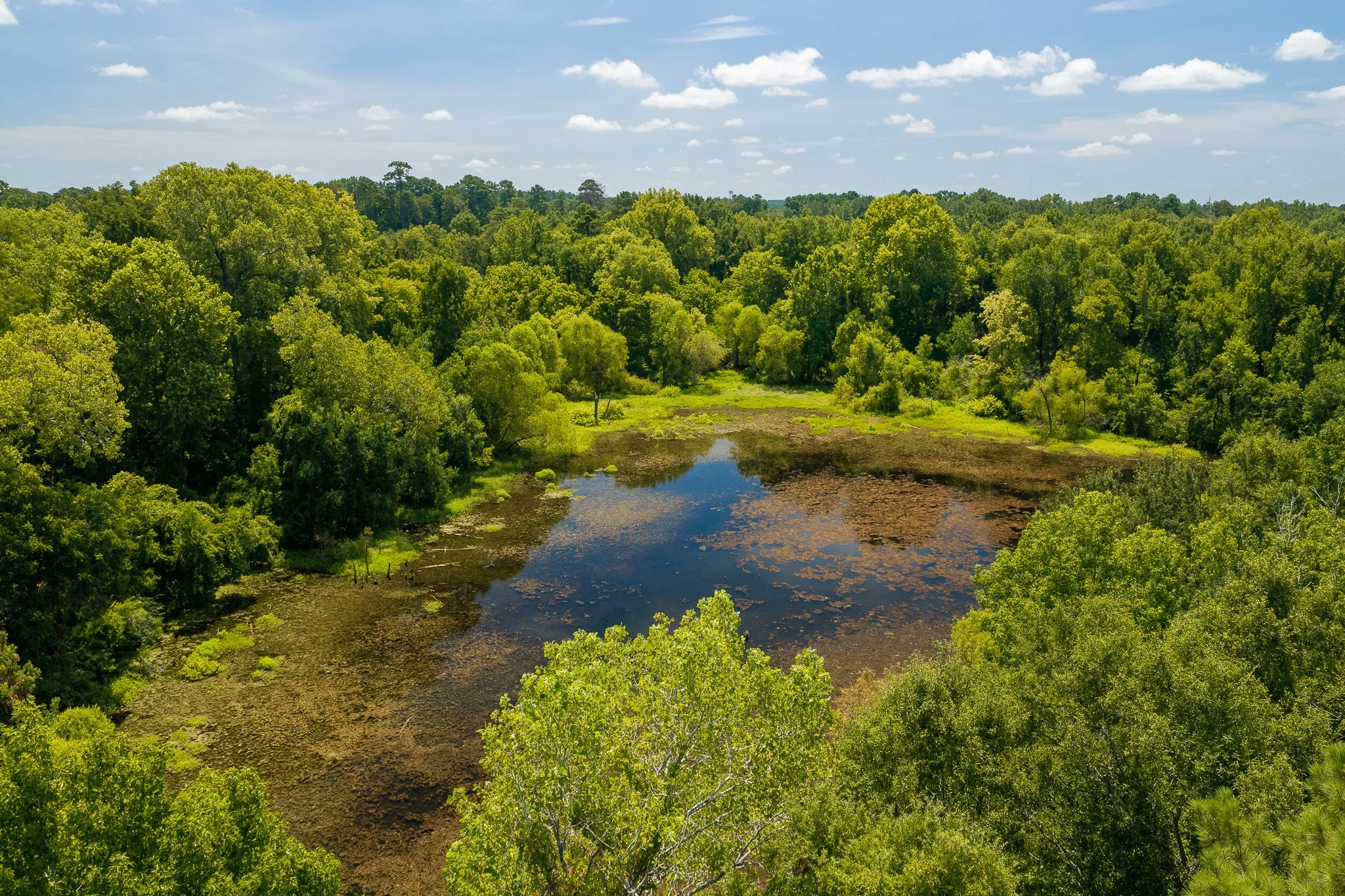 woodville-2.jpg