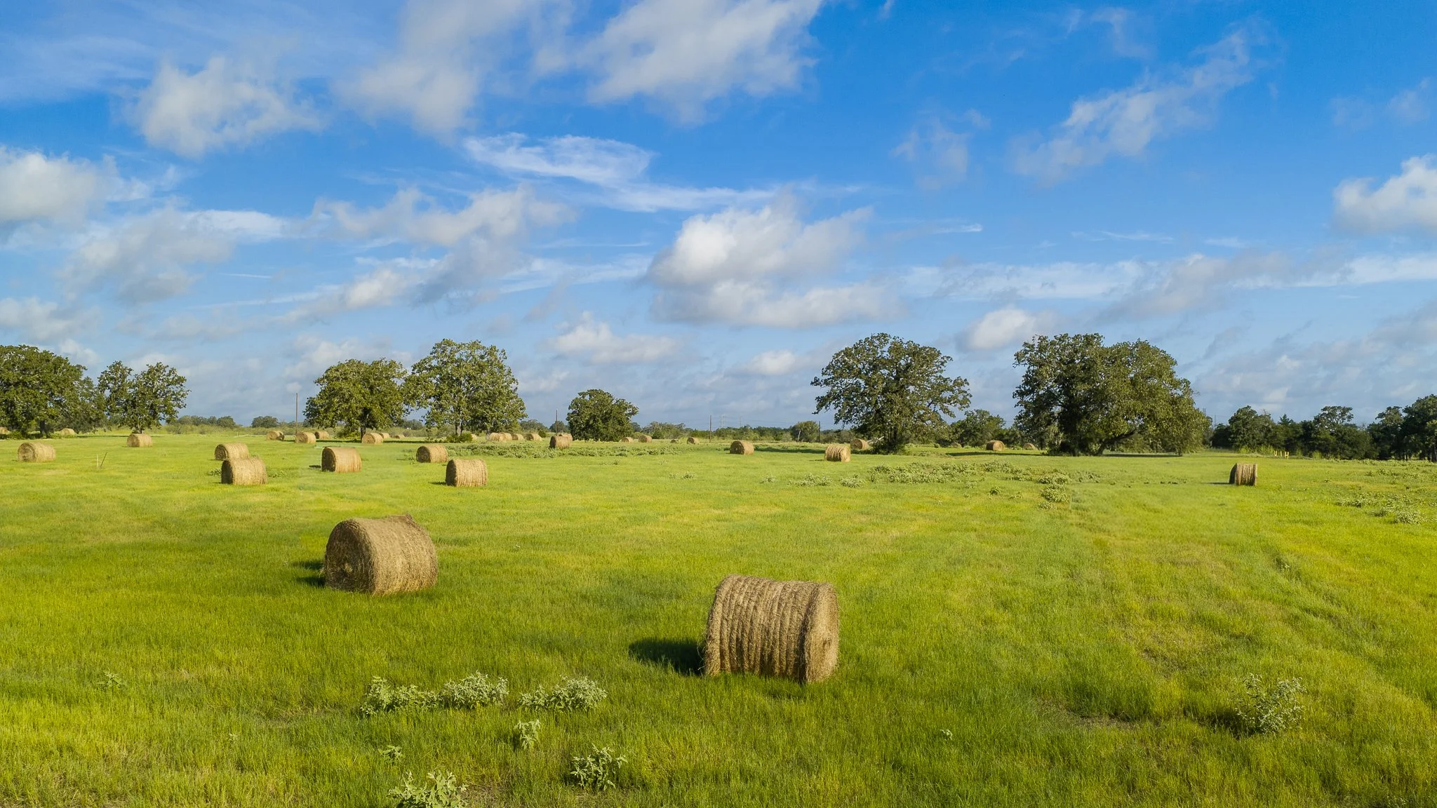 landscape-smithville-14.jpg