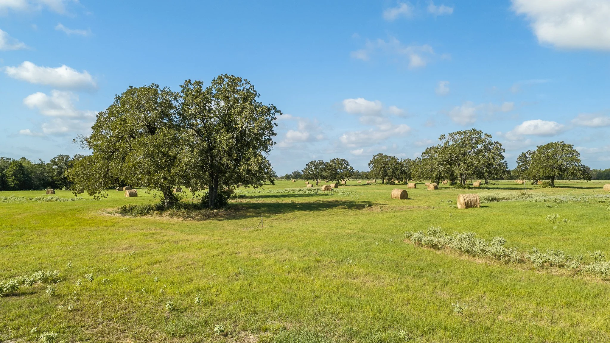 landscape-smithville-31.jpg