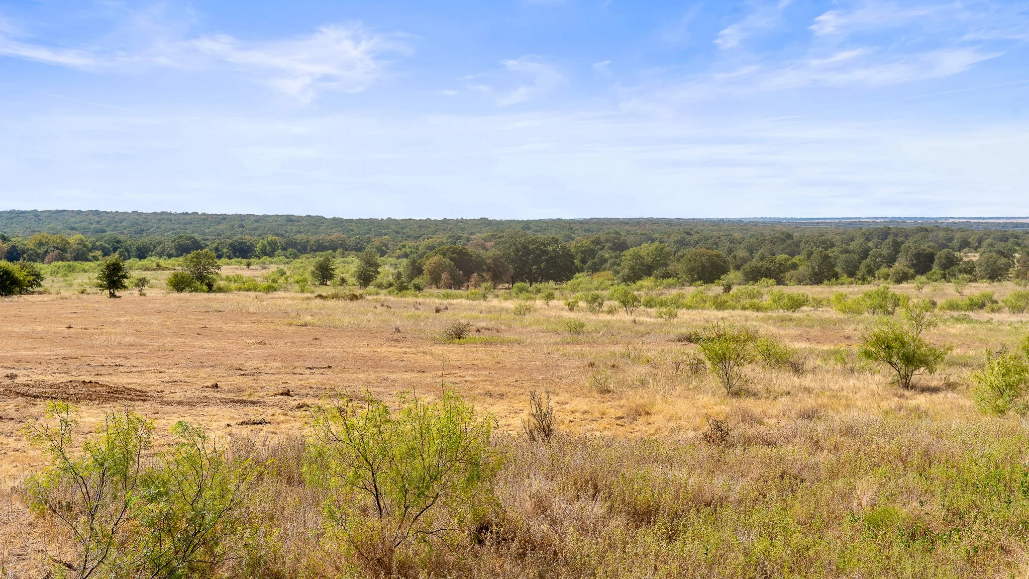 DSC09981-Landscape.jpg