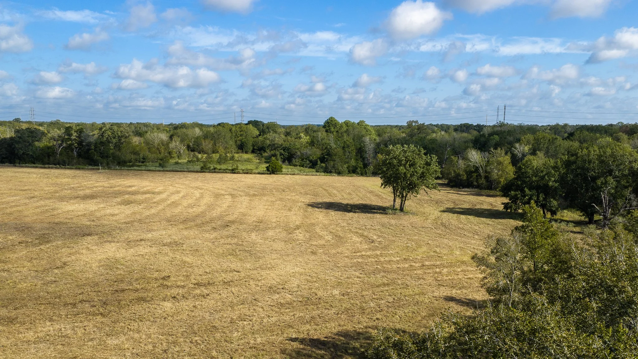 landscape-smithville-20.jpg