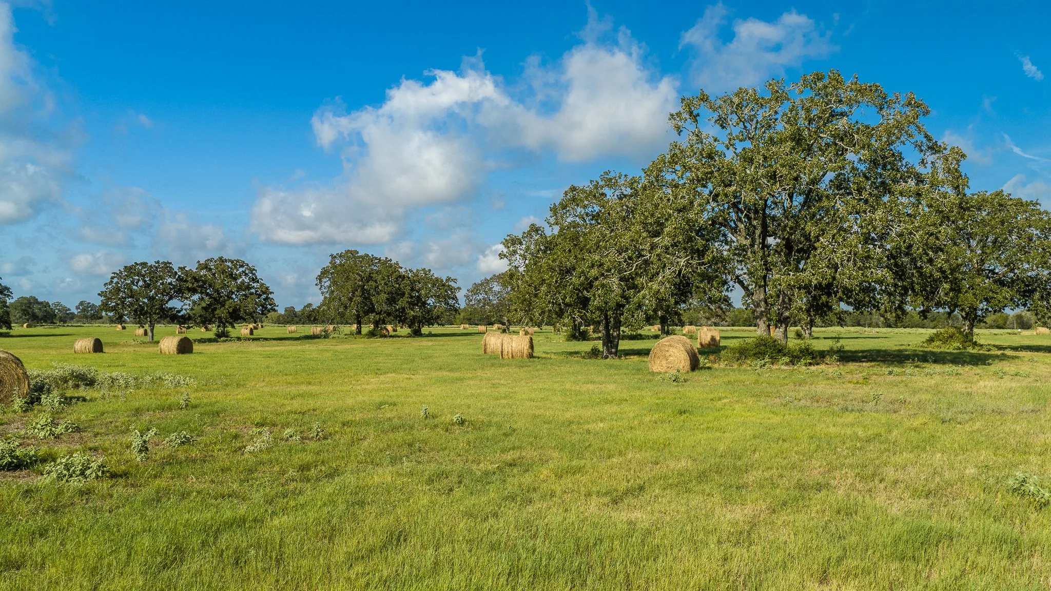 landscape-smithville-17.jpg