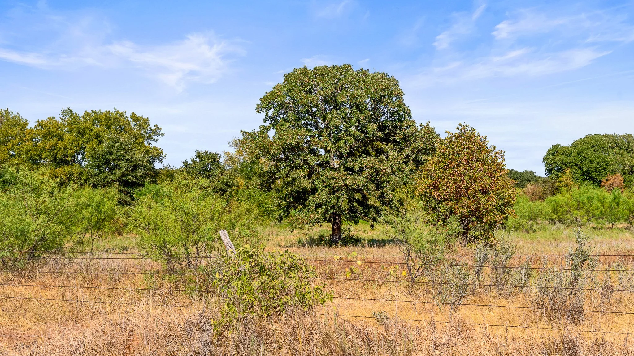 DSC09993-Landscape.jpg
