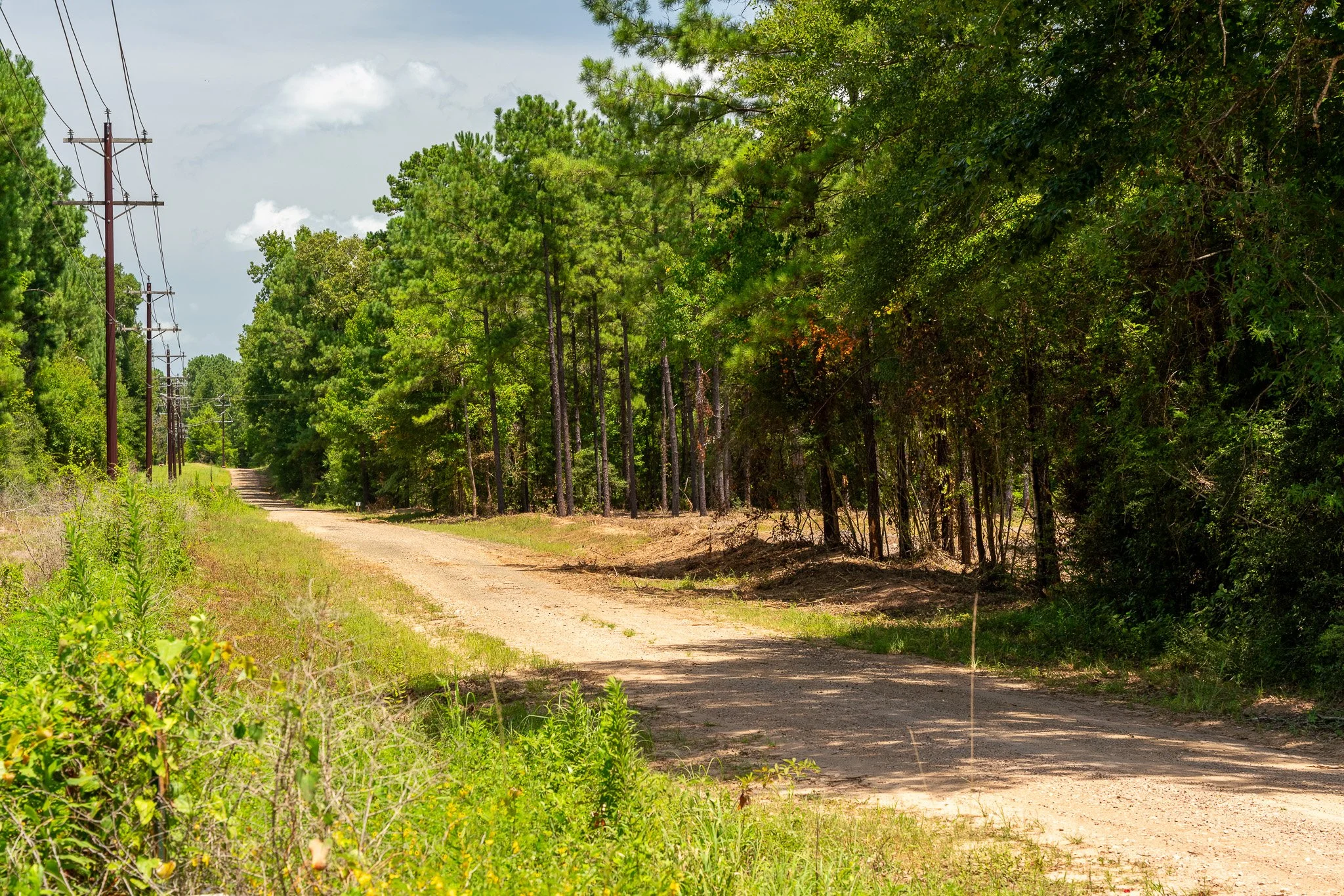 woodville-67.jpg
