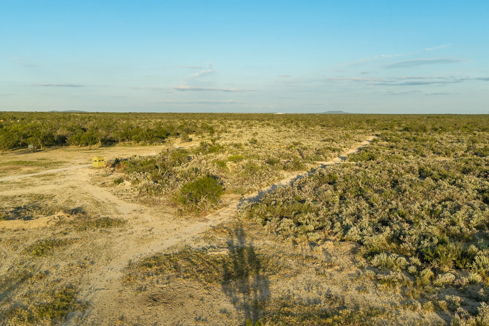 Blue_Rooster_Ranch-66.jpg