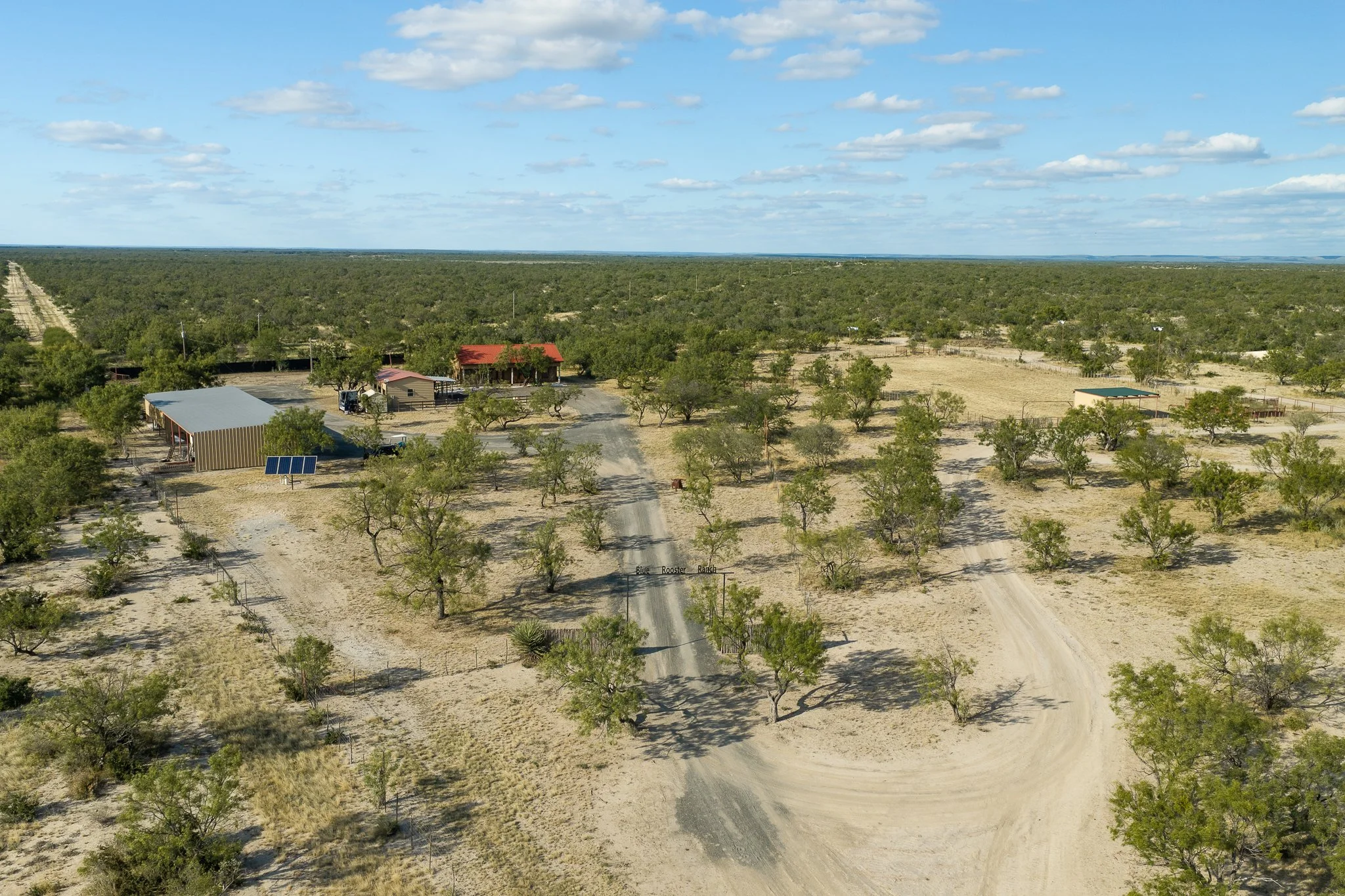 Blue_Rooster_Ranch-37.jpg