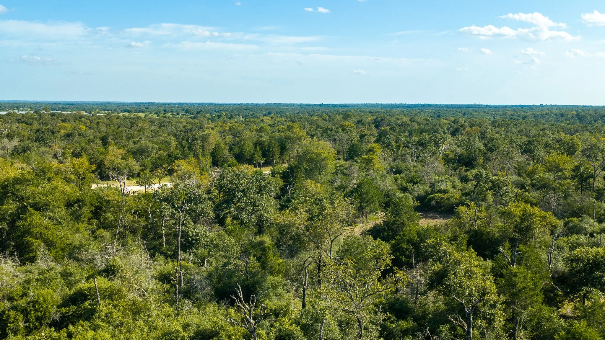 landscape-crestwood-24.jpg