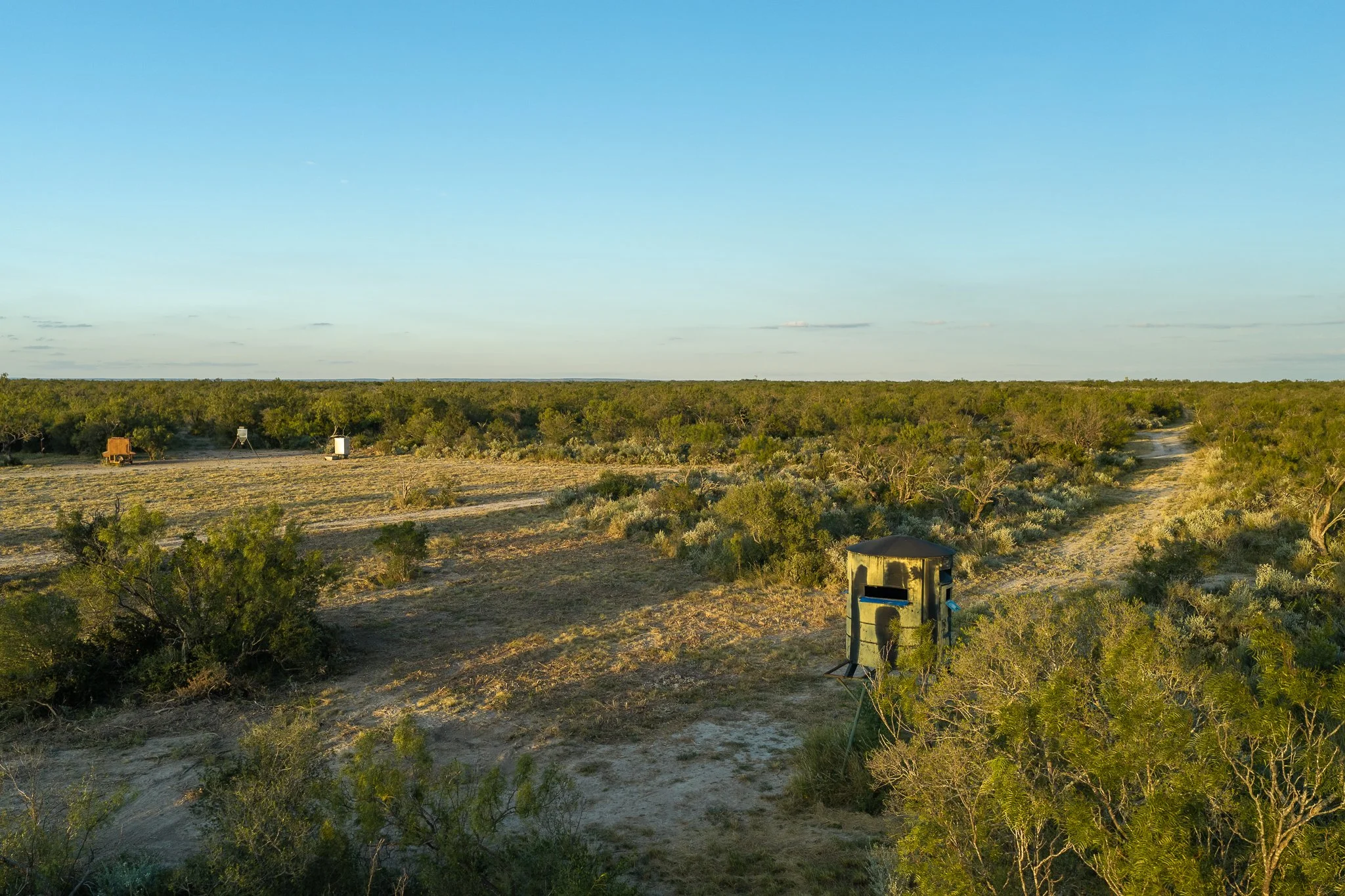 Blue_Rooster_Ranch-71.jpg