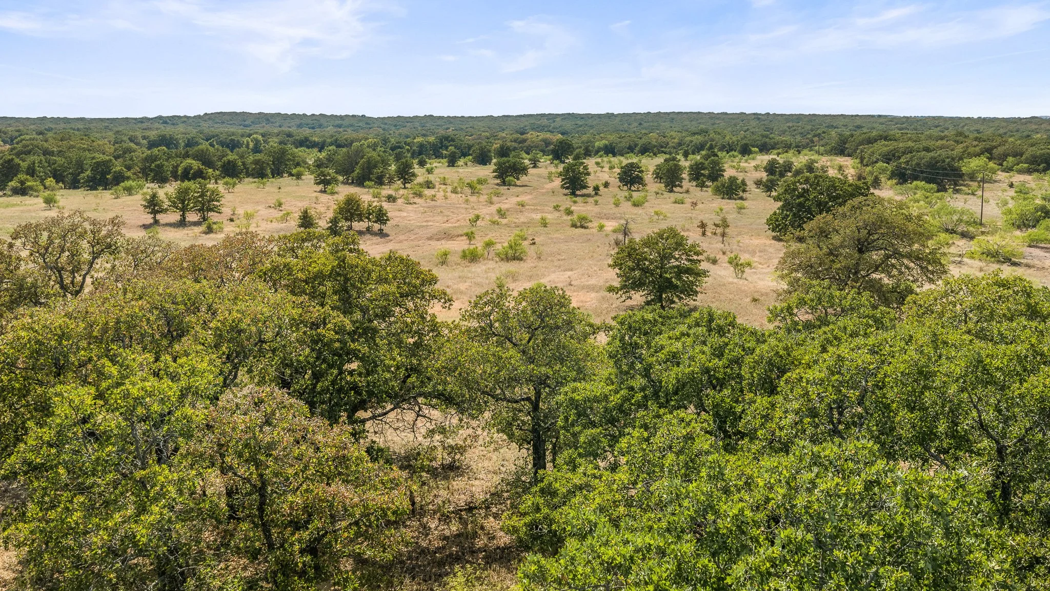 DJI_20260828162115_0374_D-Landscape.jpg