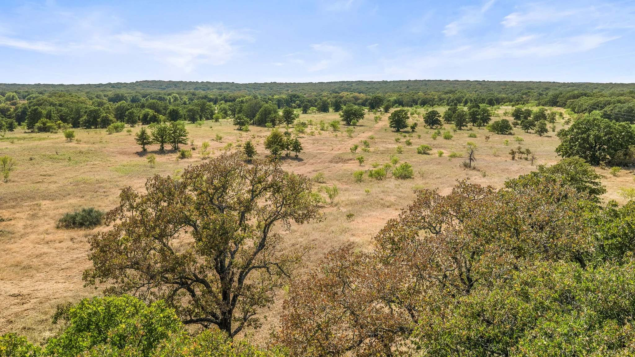 DJI_20260828162053_0373_D-Landscape.jpg