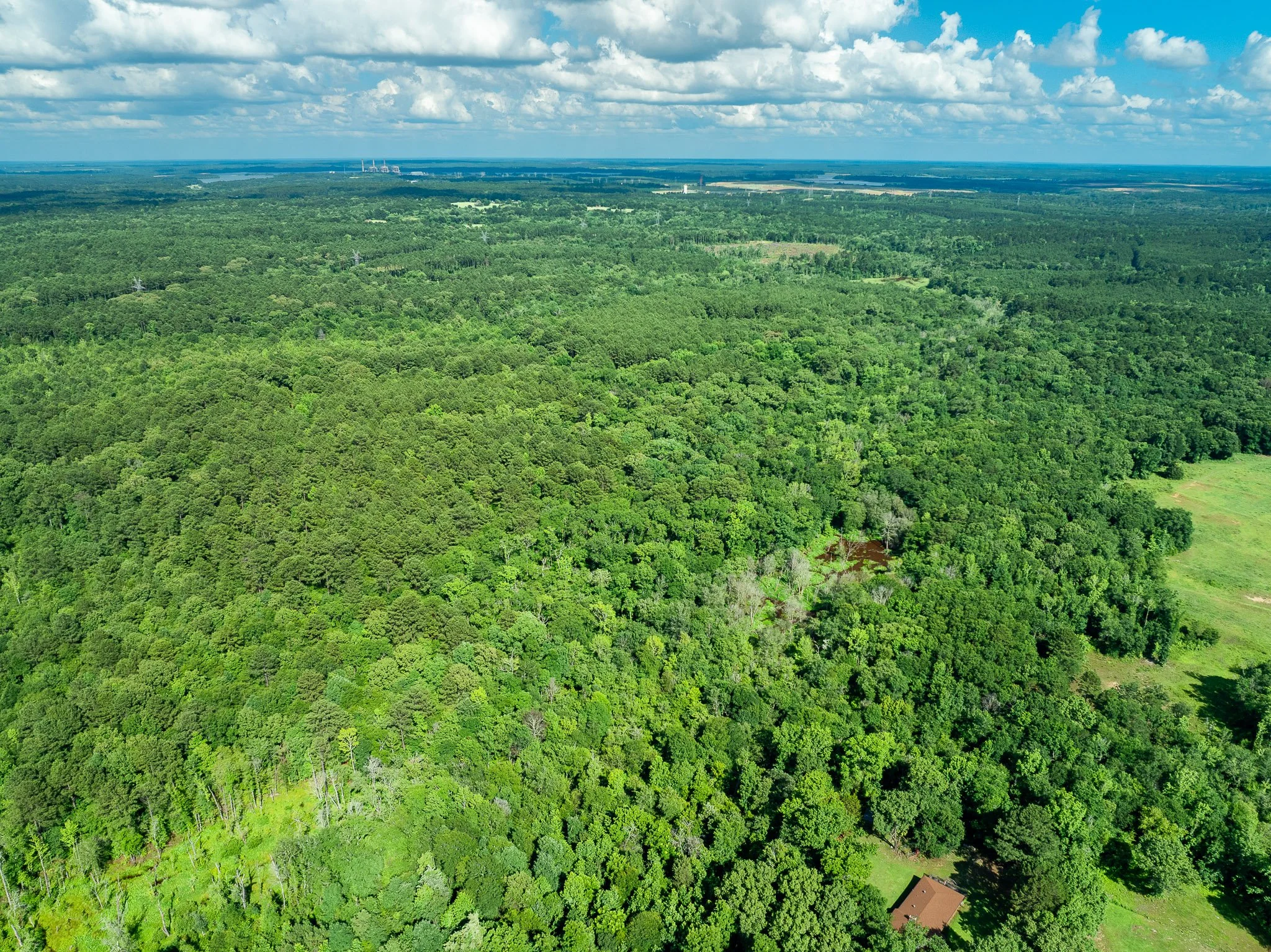 Tatum_Drone-7.jpg