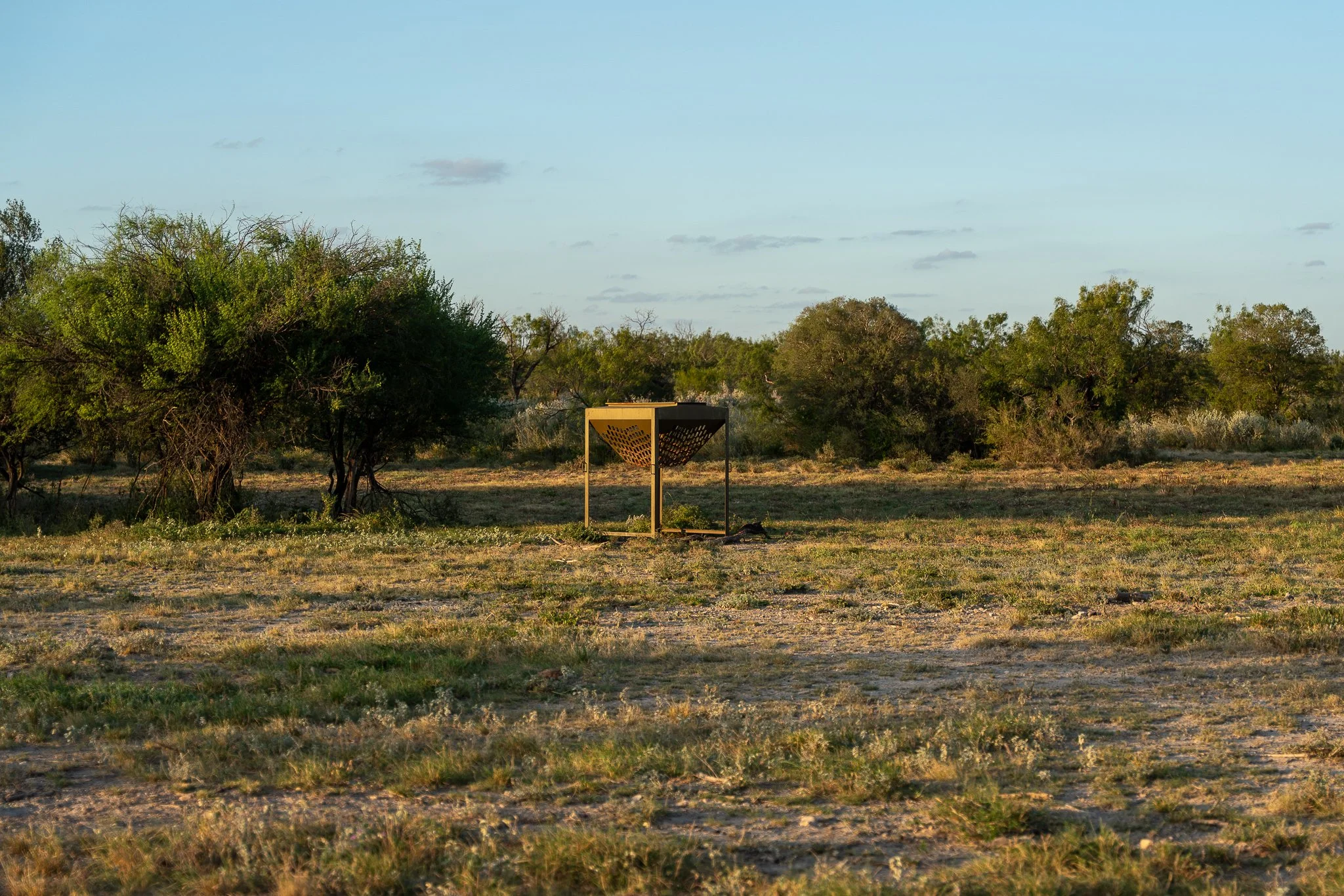 Blue_Rooster_Ranch-17.jpg