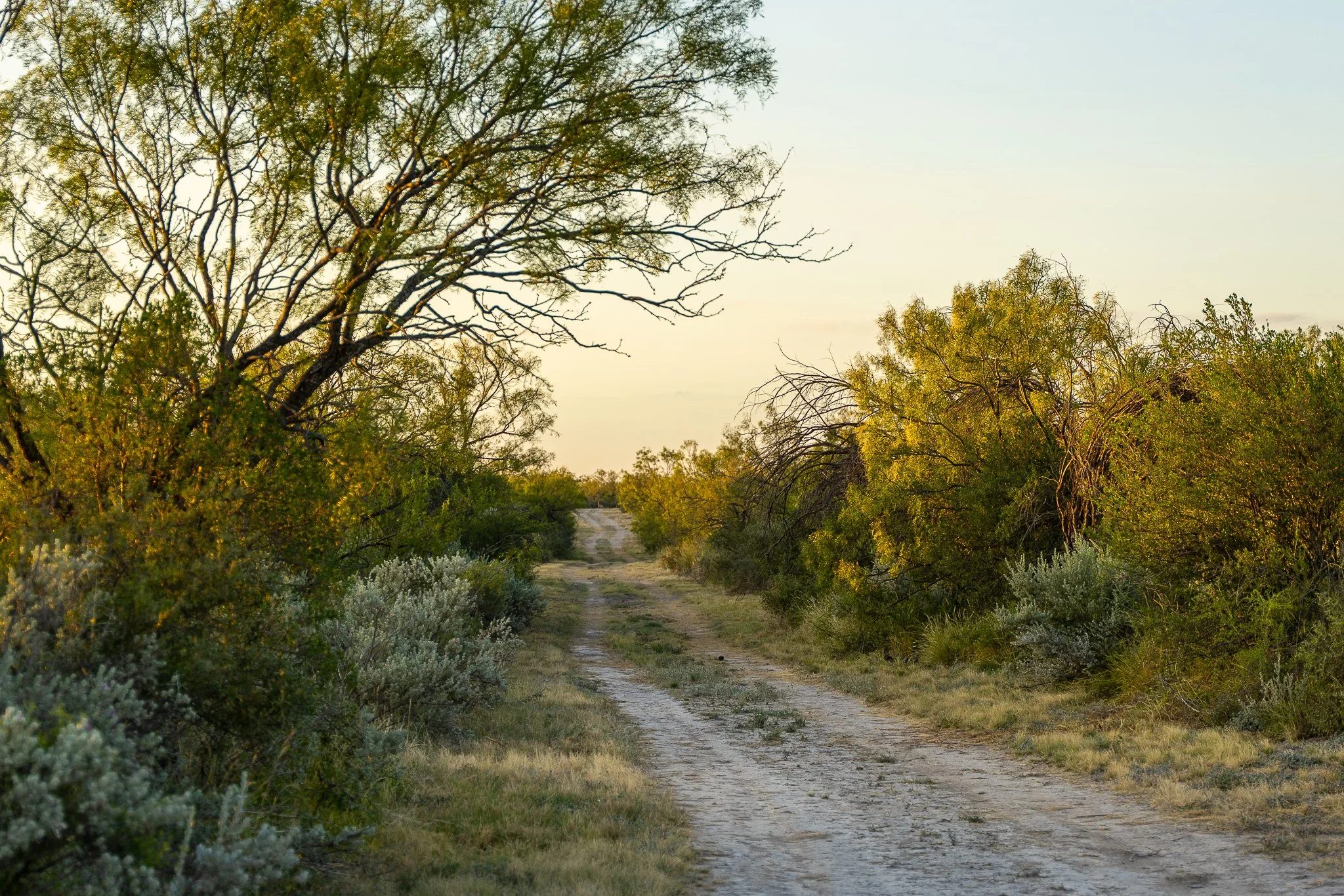 Blue_Rooster_Ranch-26.jpg