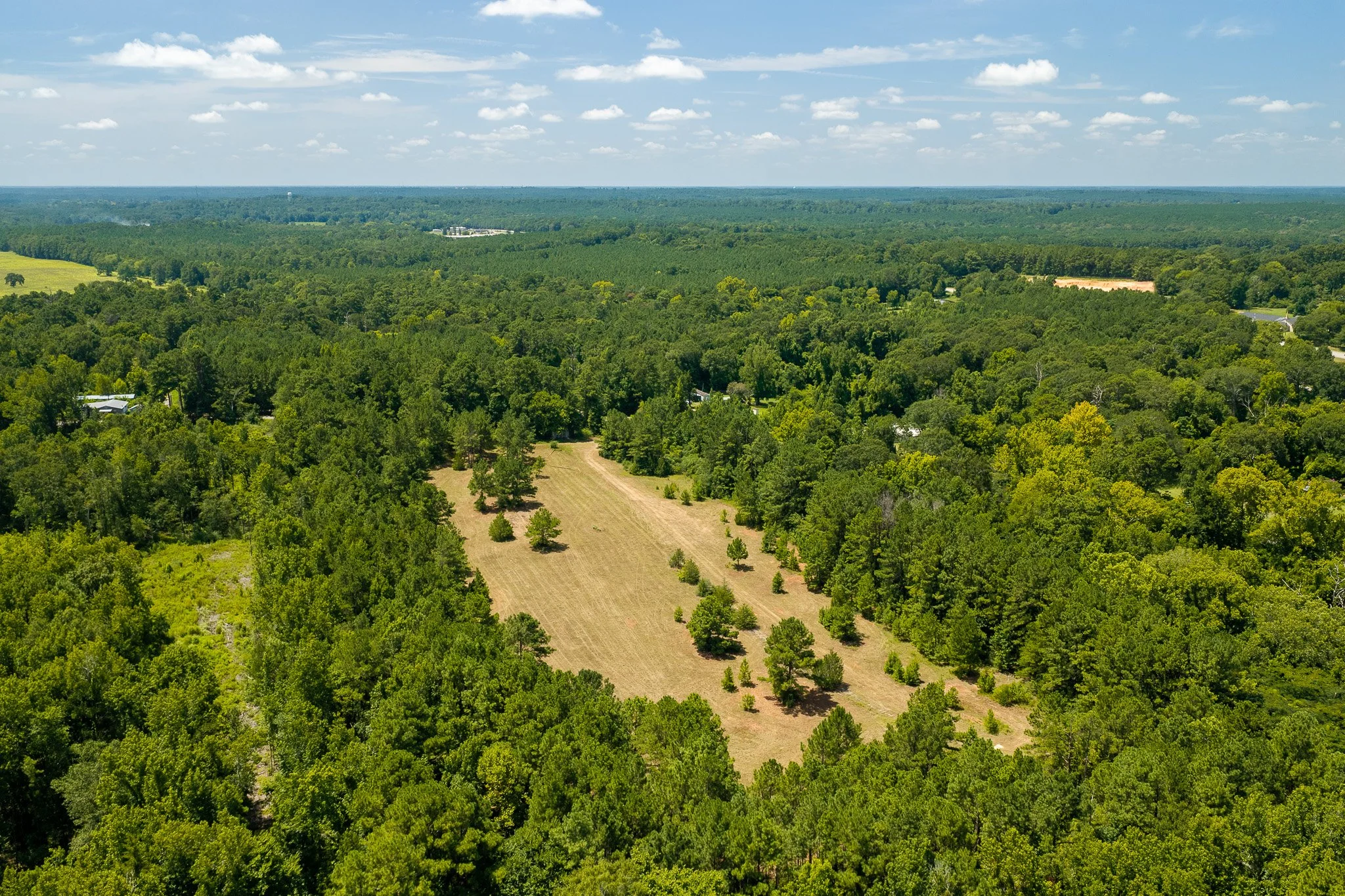 woodville-7.jpg