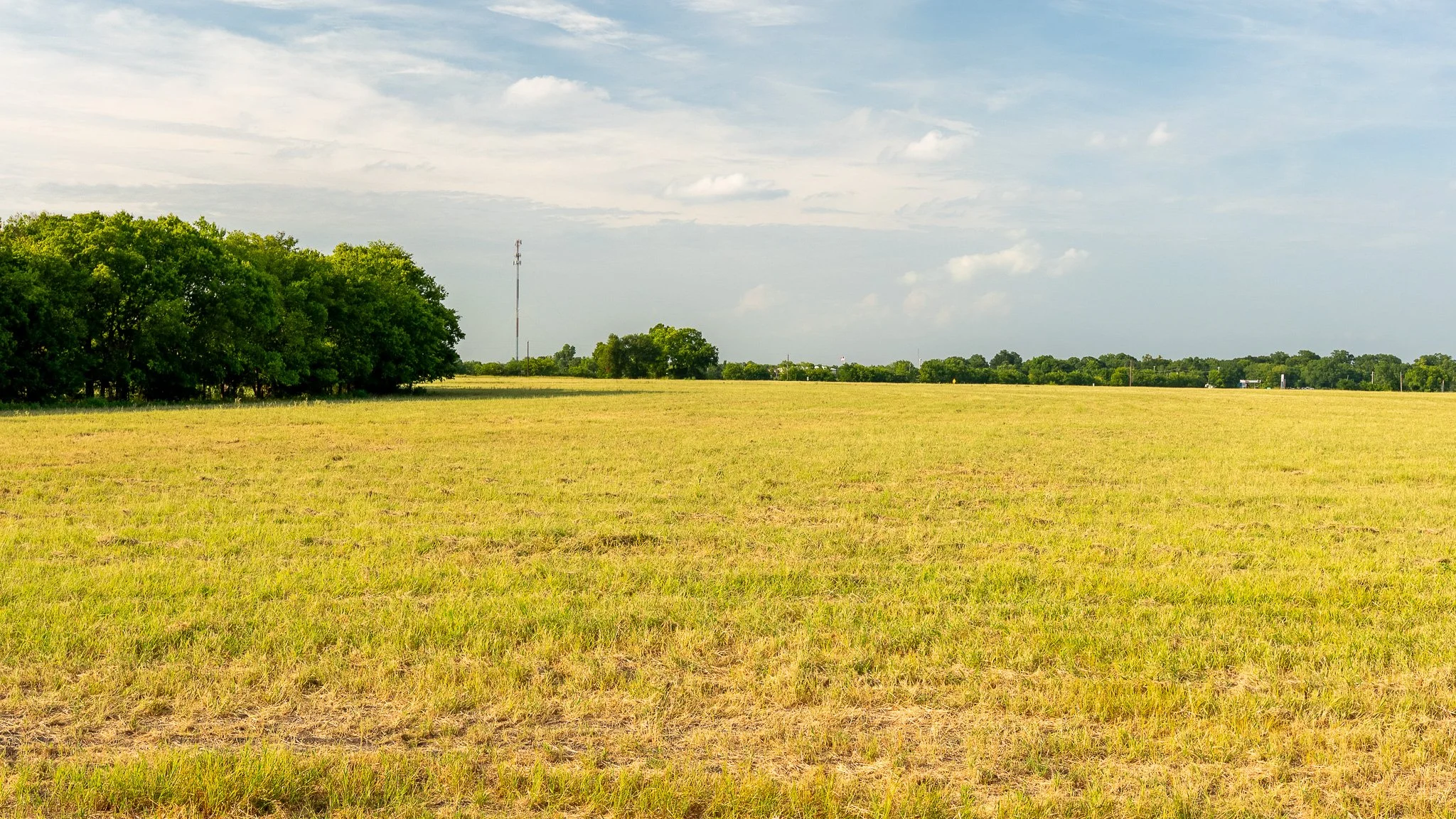 landscape-ground-summerdale--7.jpg