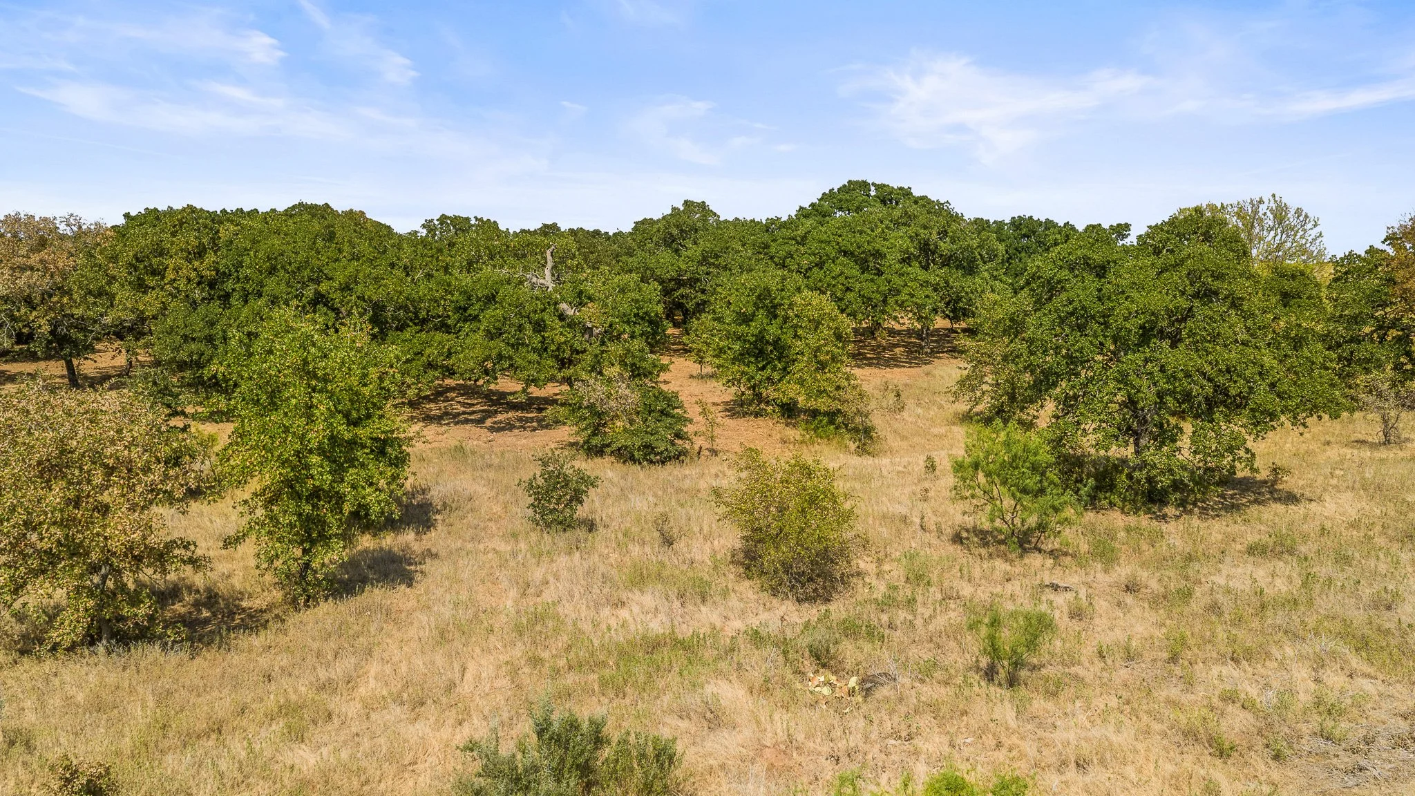 DJI_20260828154802_0337_D-Landscape.jpg