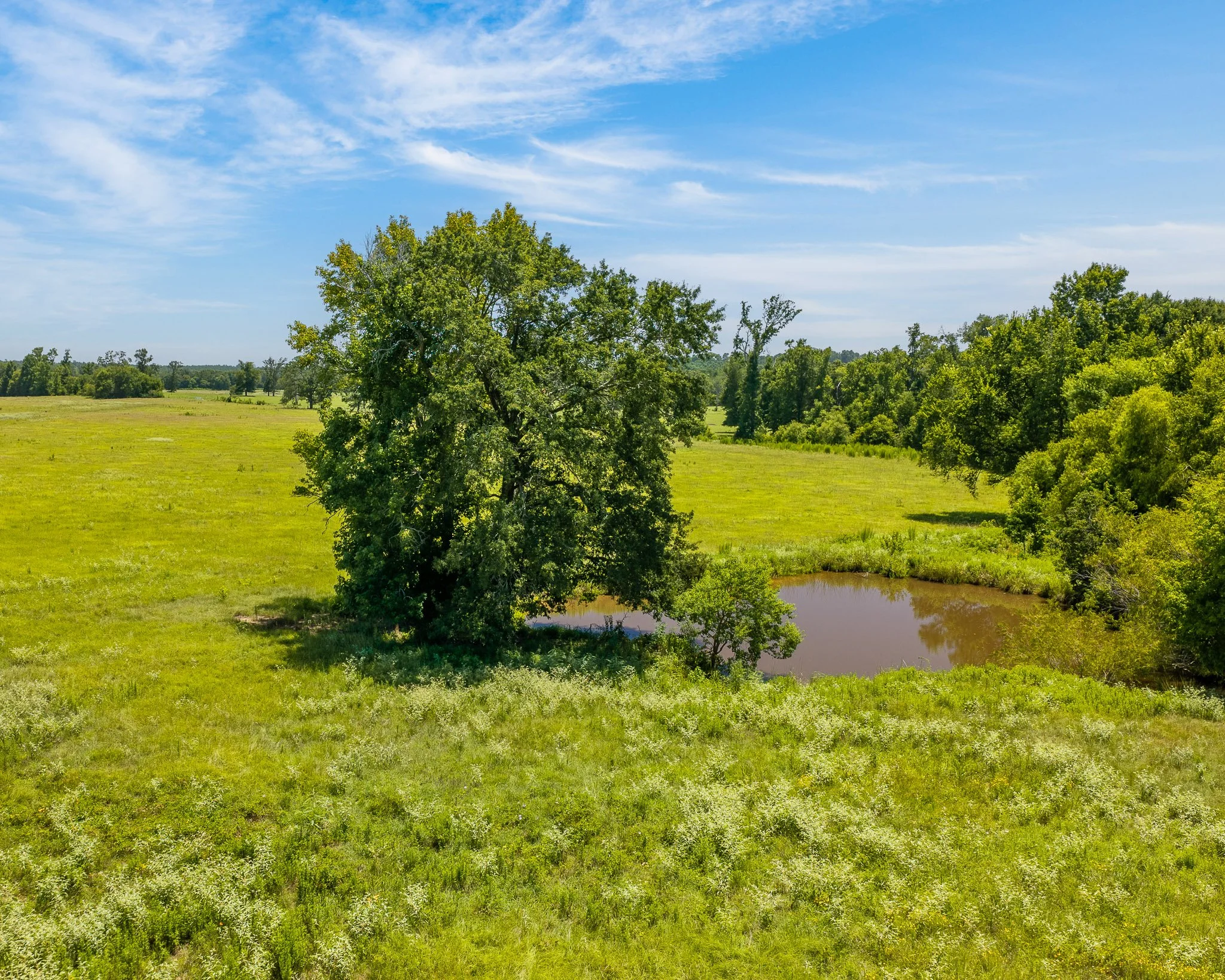 portrait-ratio-aerial-level--20.jpg