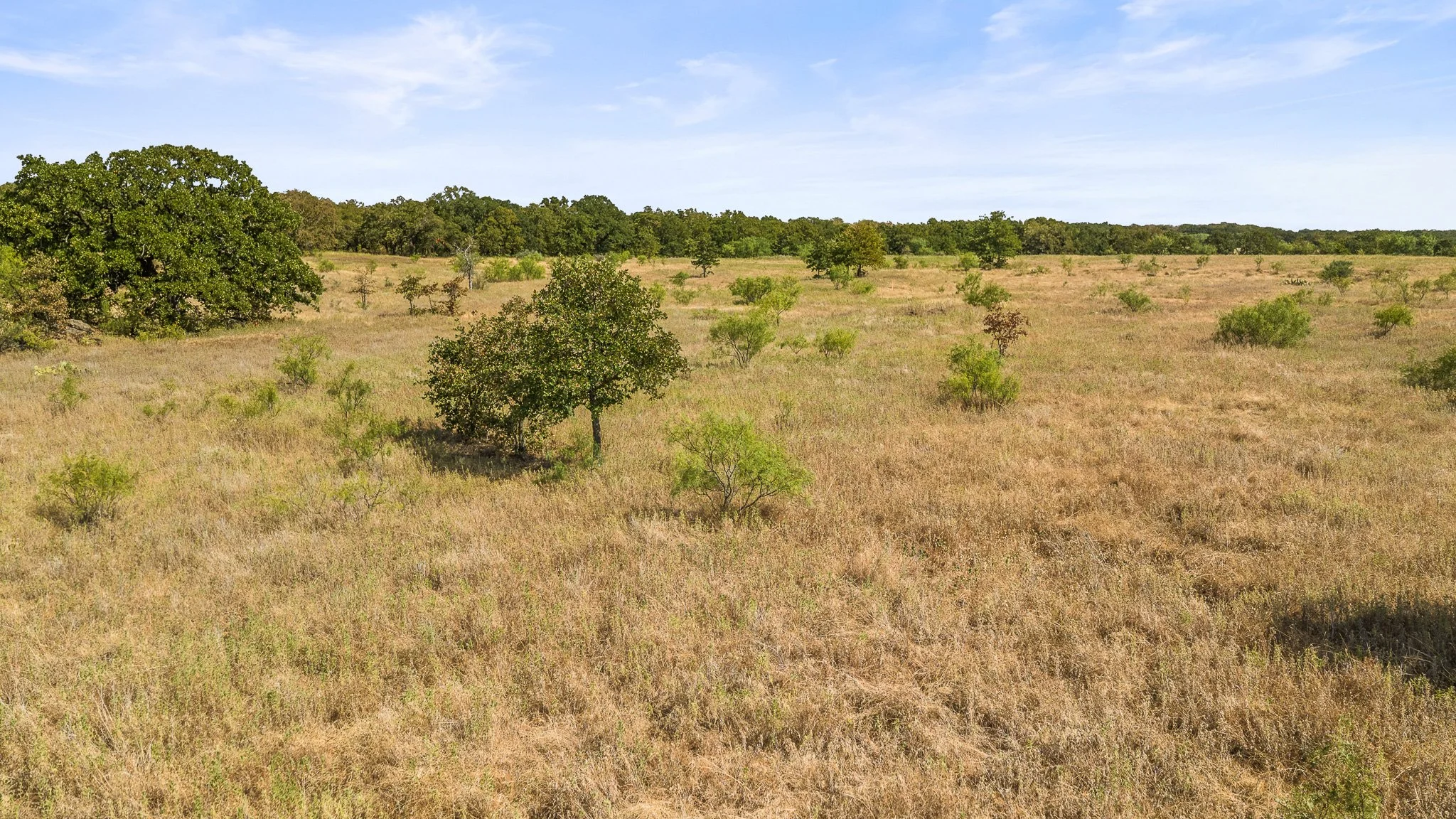 DJI_20260828162312_0382_D-Landscape.jpg