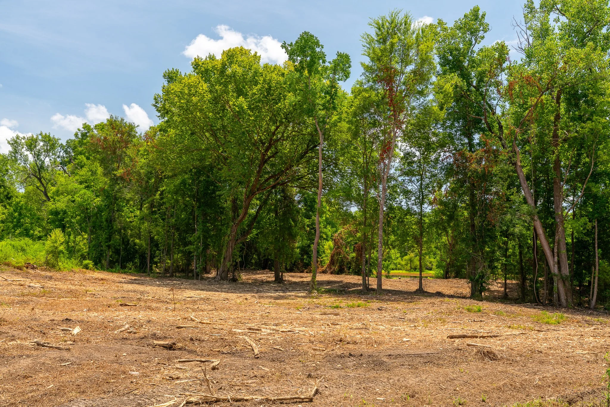 woodville-83.jpg