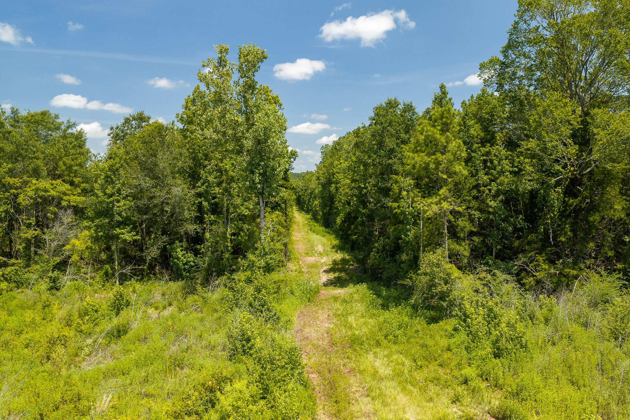 woodville-13.jpg