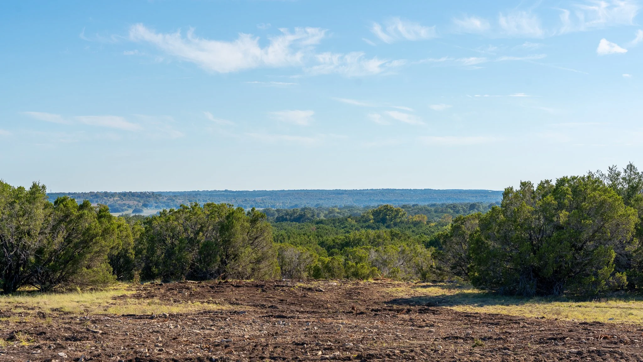 landscape-hamilton-6.jpg