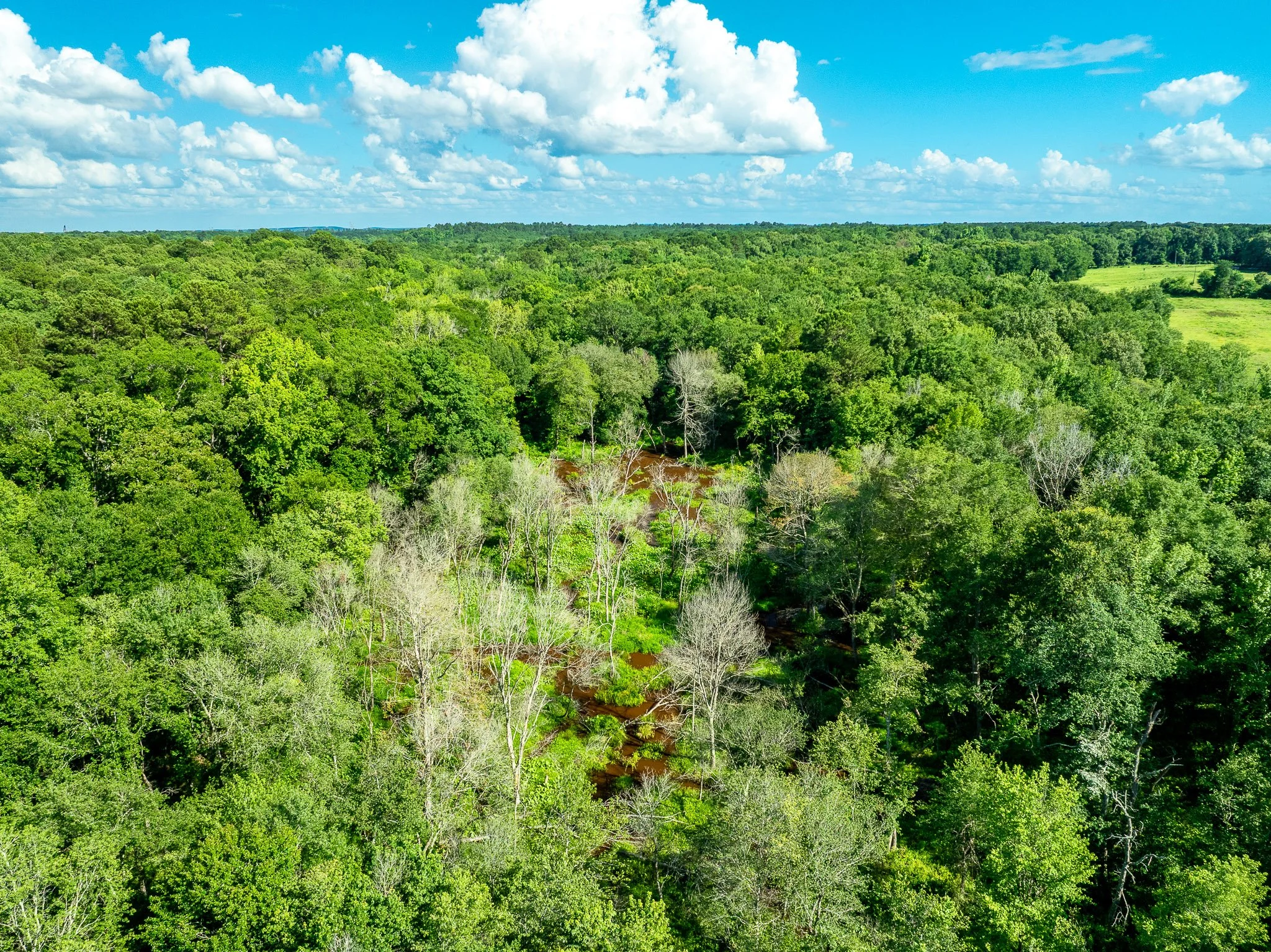 Tatum_Drone-13.jpg