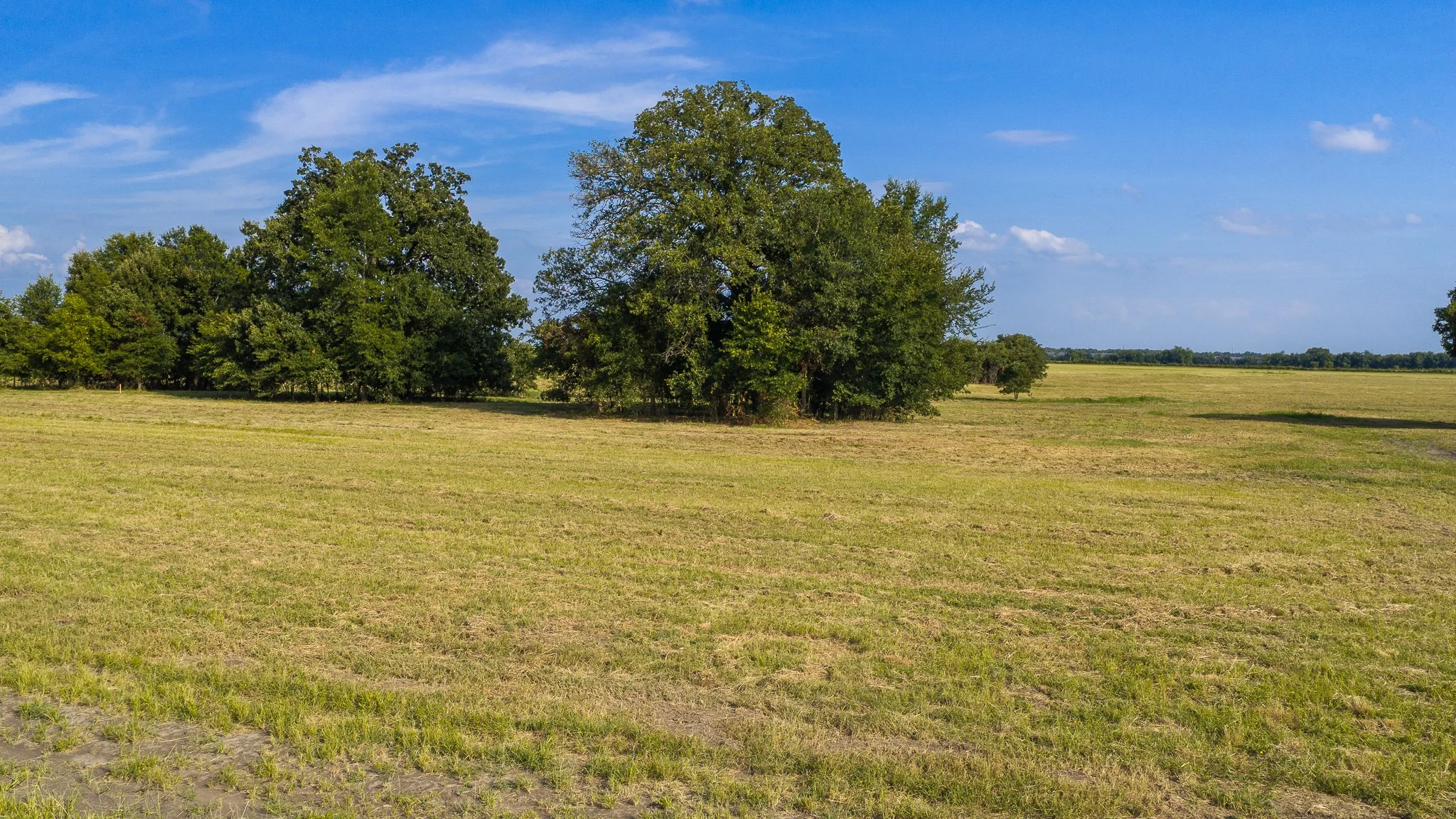 landscape-aerial-summerdale--8.jpg