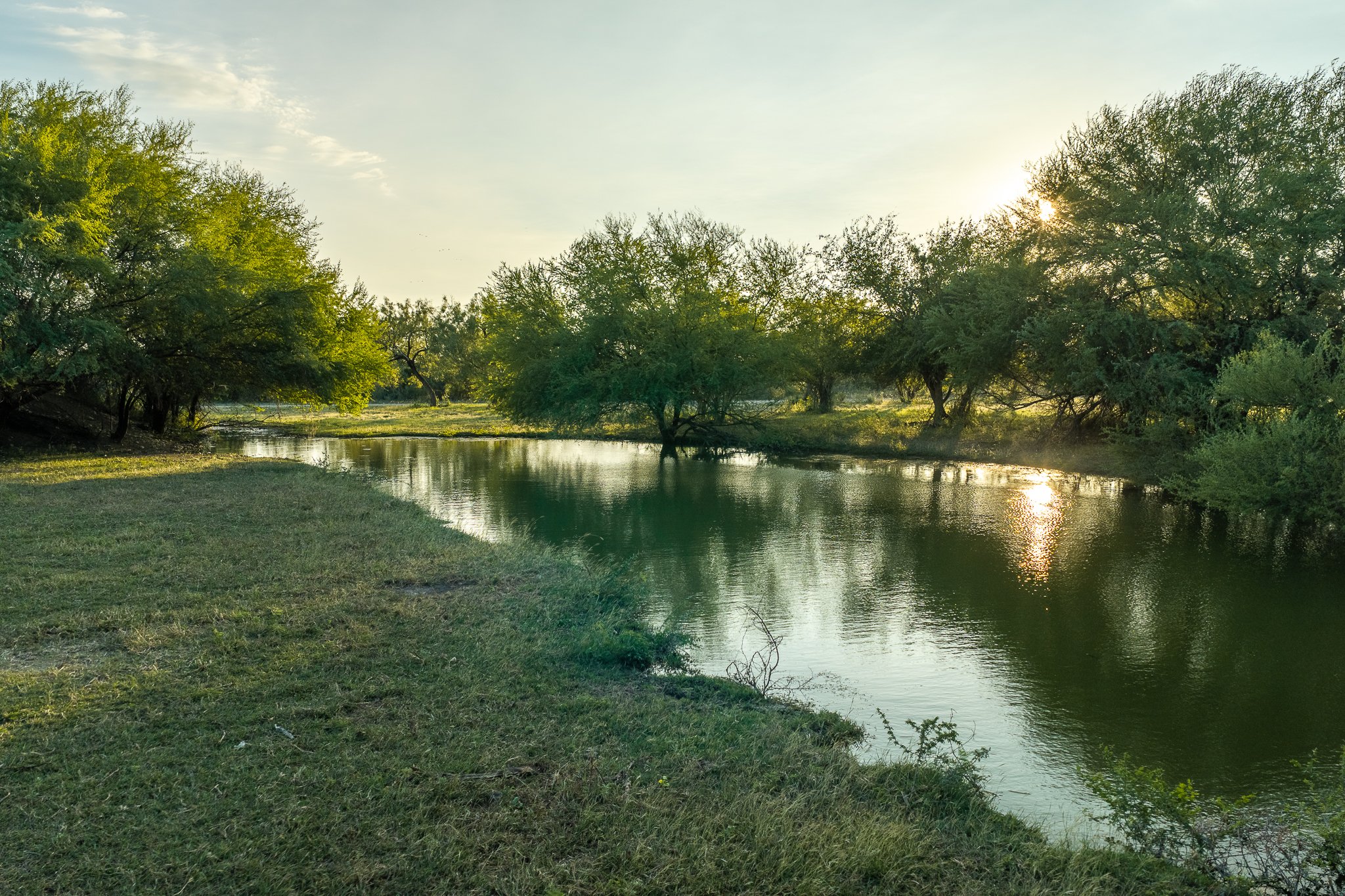 Blue_Rooster_Ranch-62.jpg