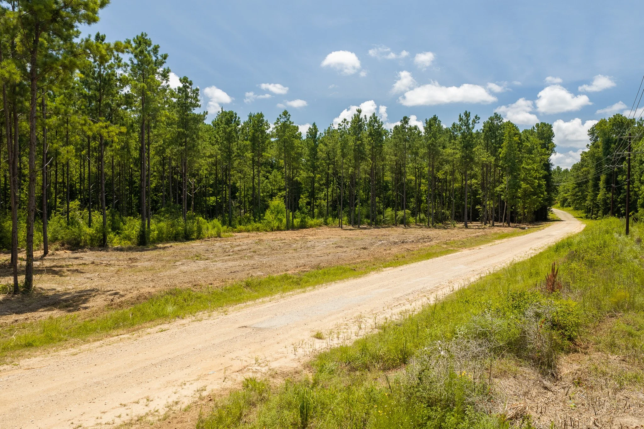 woodville-43.jpg