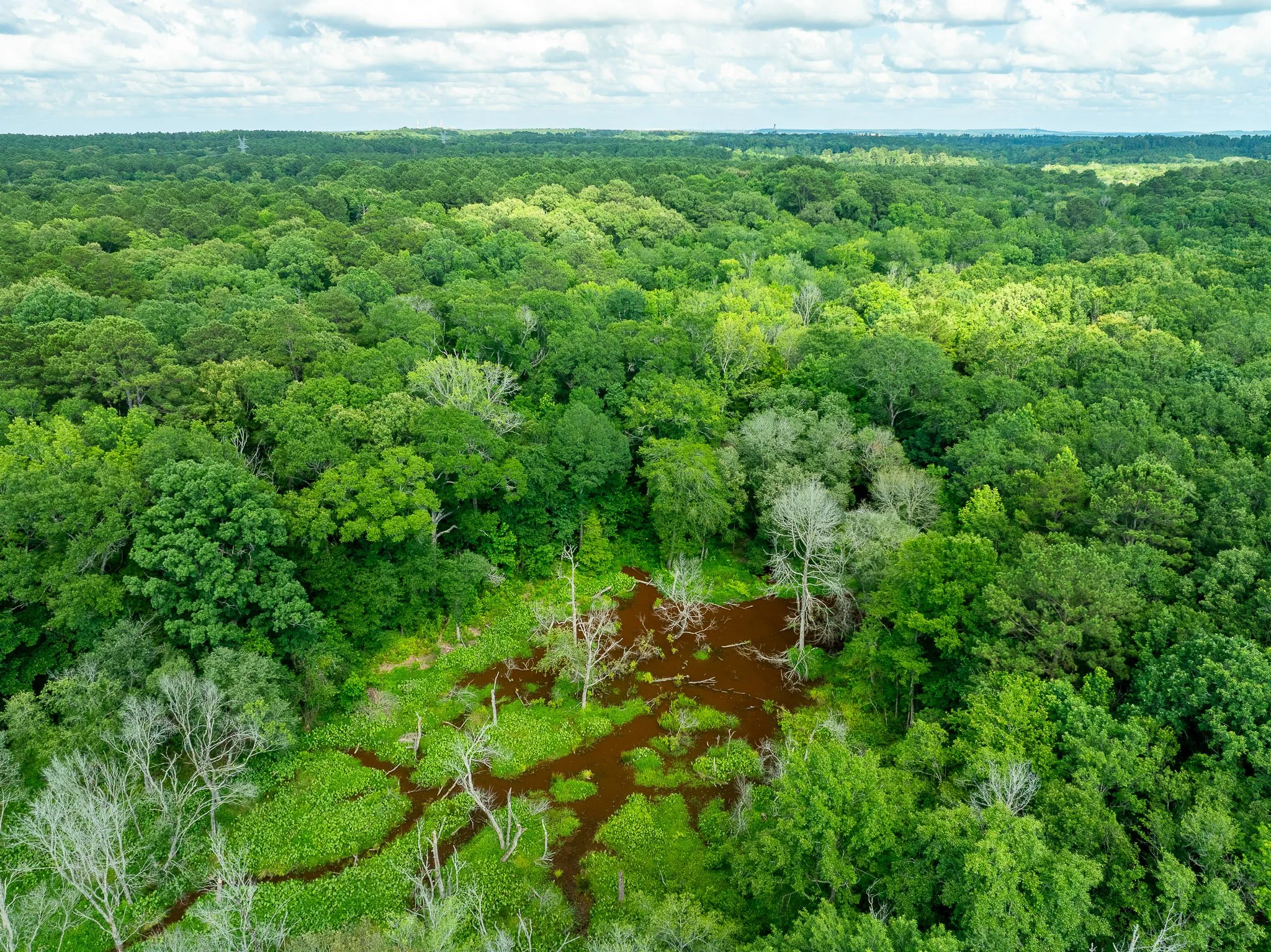 Tatum_Drone-3.jpg