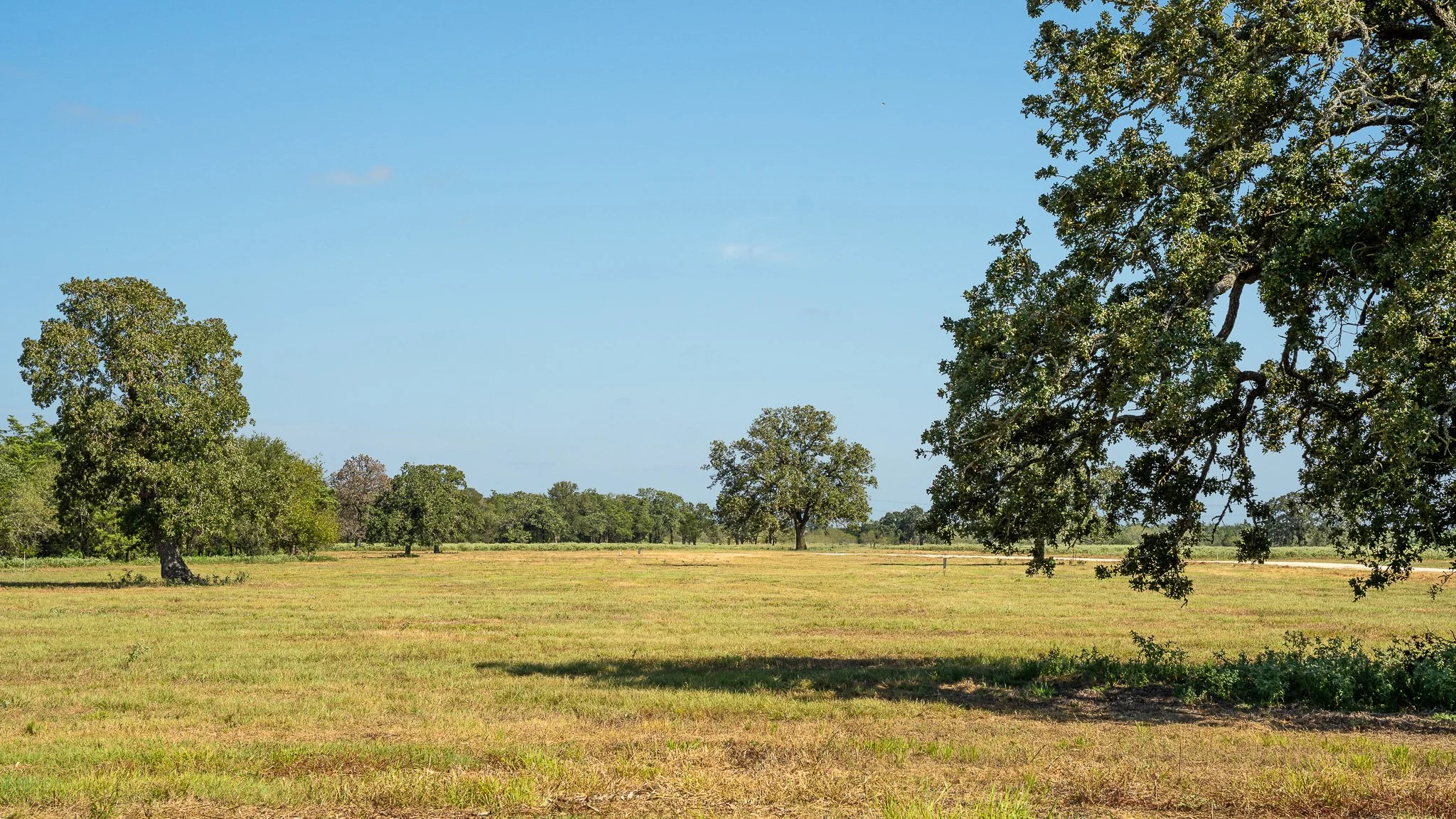 landscape-smithville-38.jpg