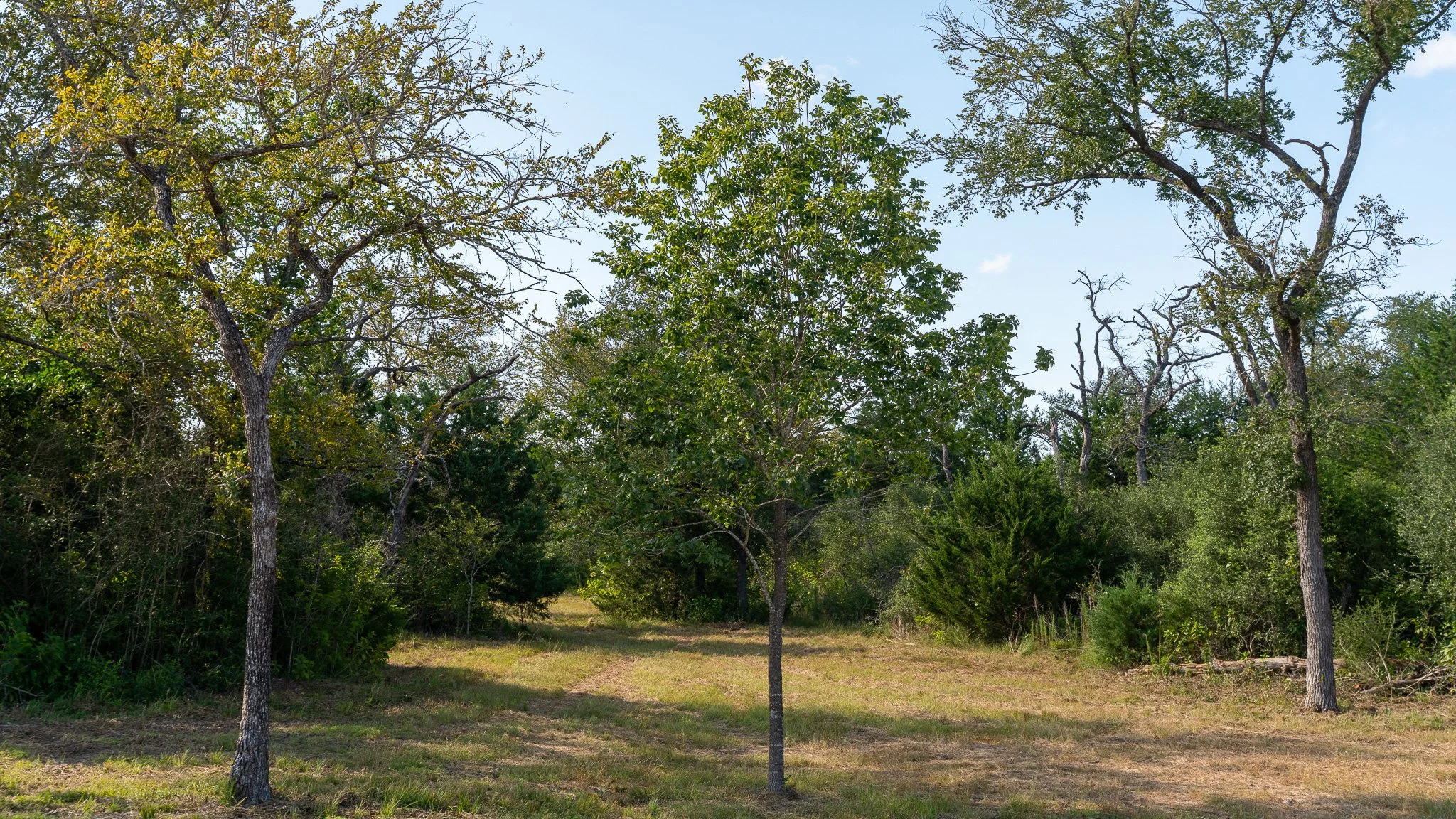 landscape-crestwood-71.jpg