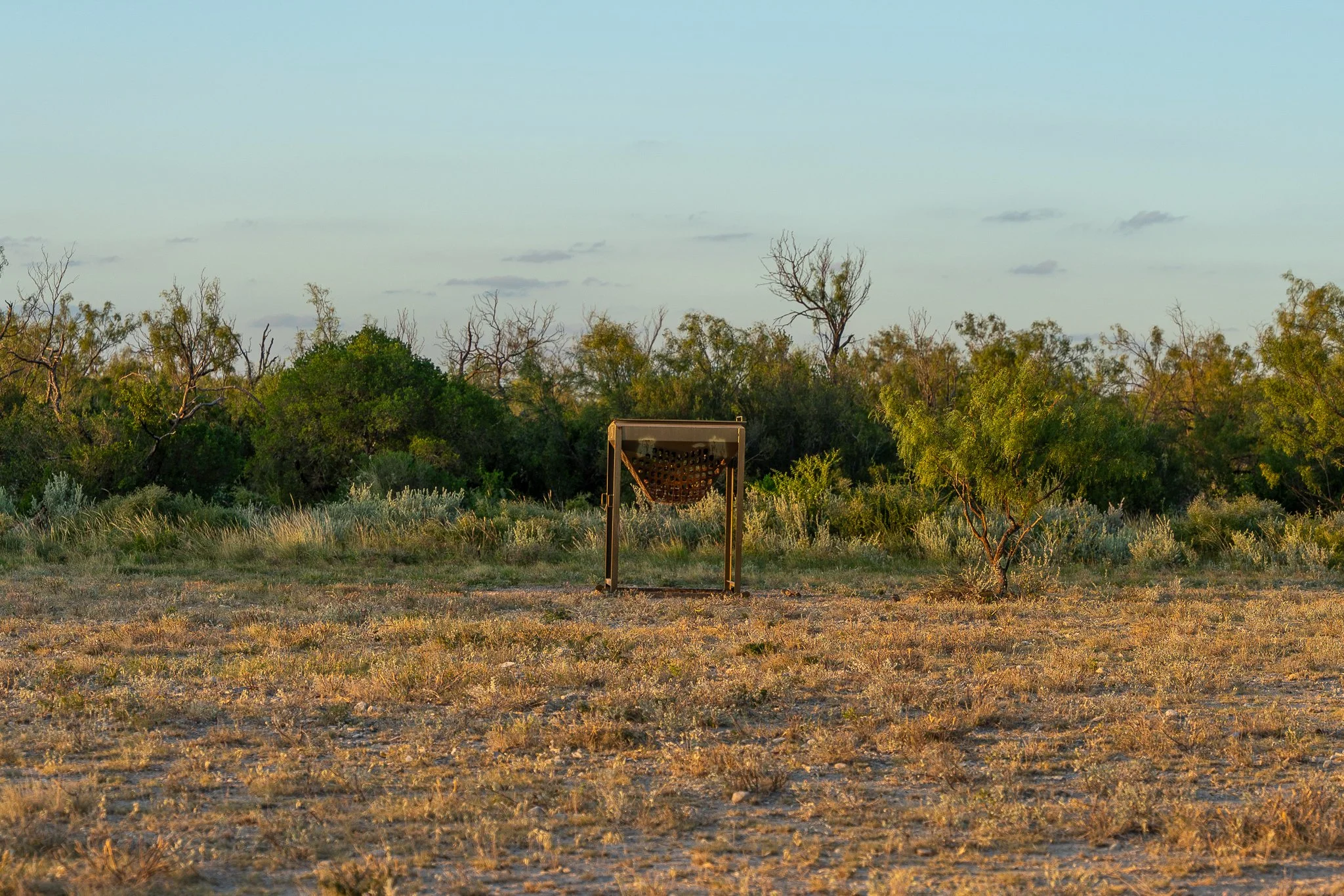 Blue_Rooster_Ranch-21.jpg