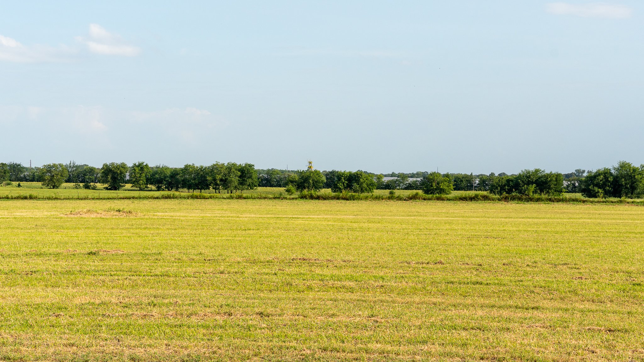 landscape-ground-summerdale-03026.jpg