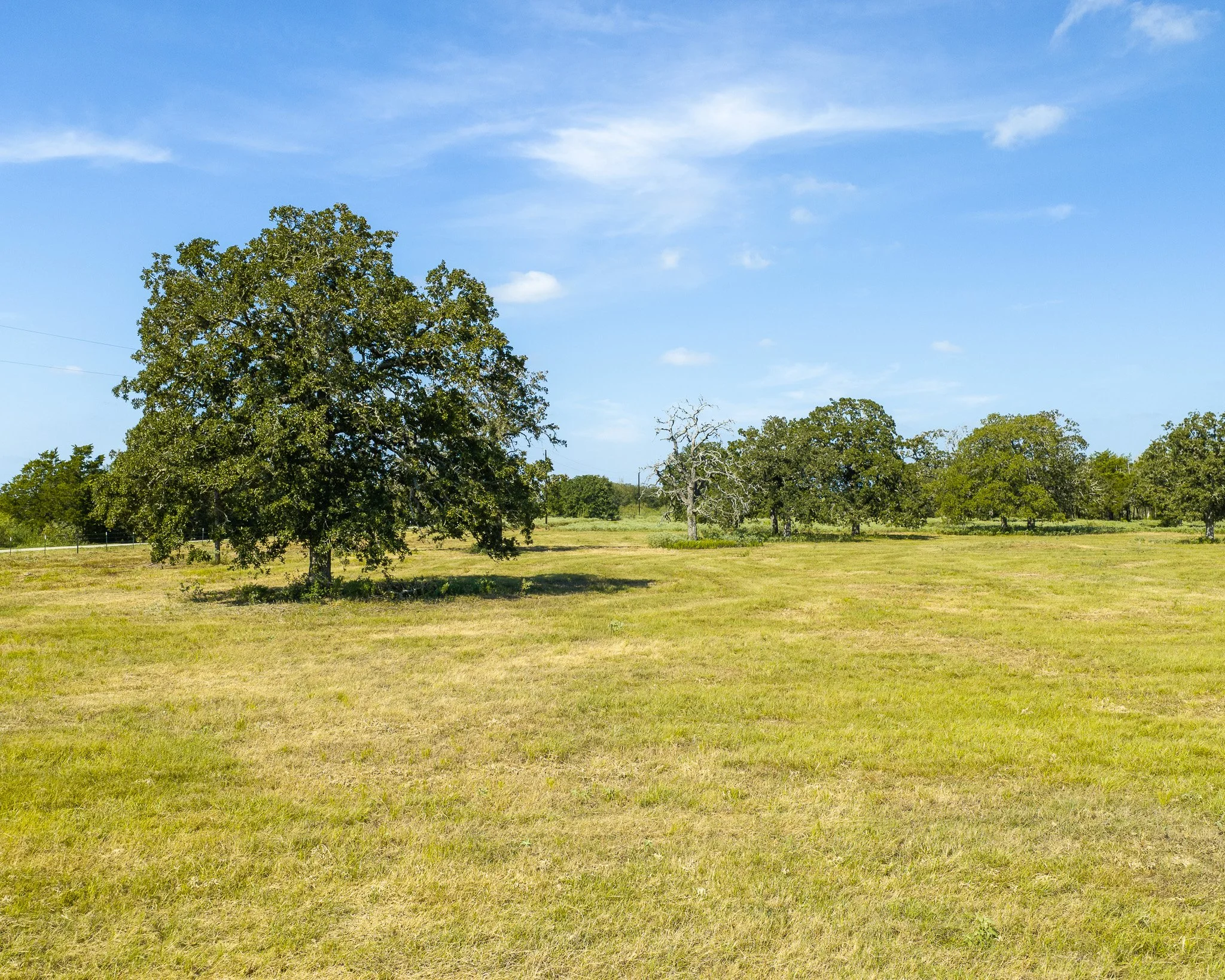 portrait-smithville-41.jpg