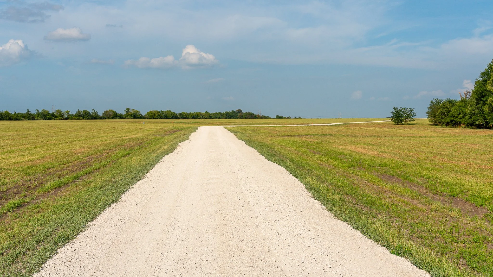 landscape-ground-summerdale-03011.jpg