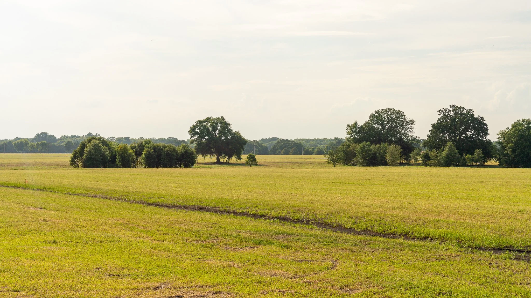 landscape-ground-summerdale-03023.jpg