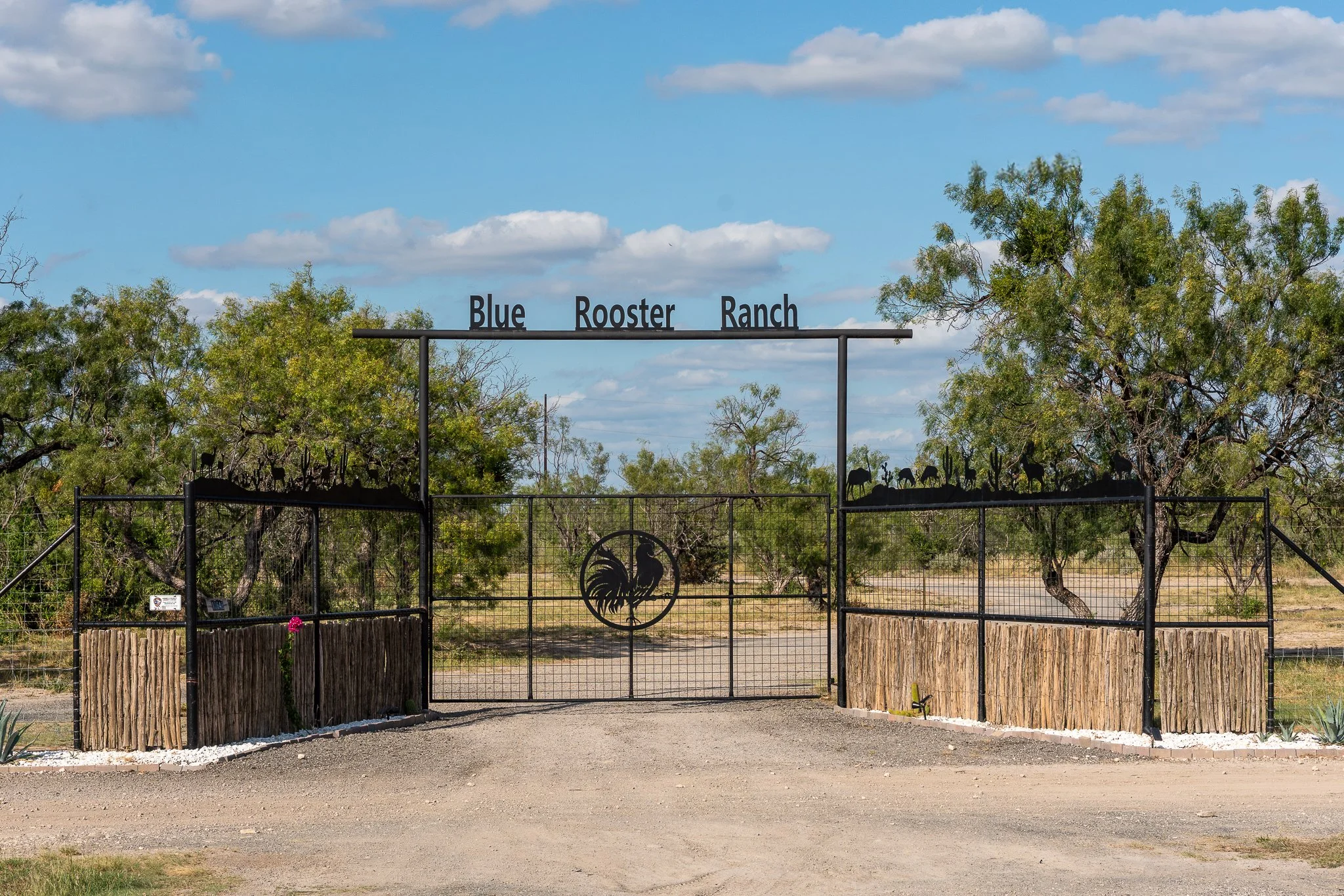Blue_Rooster_Ranch-1.jpg