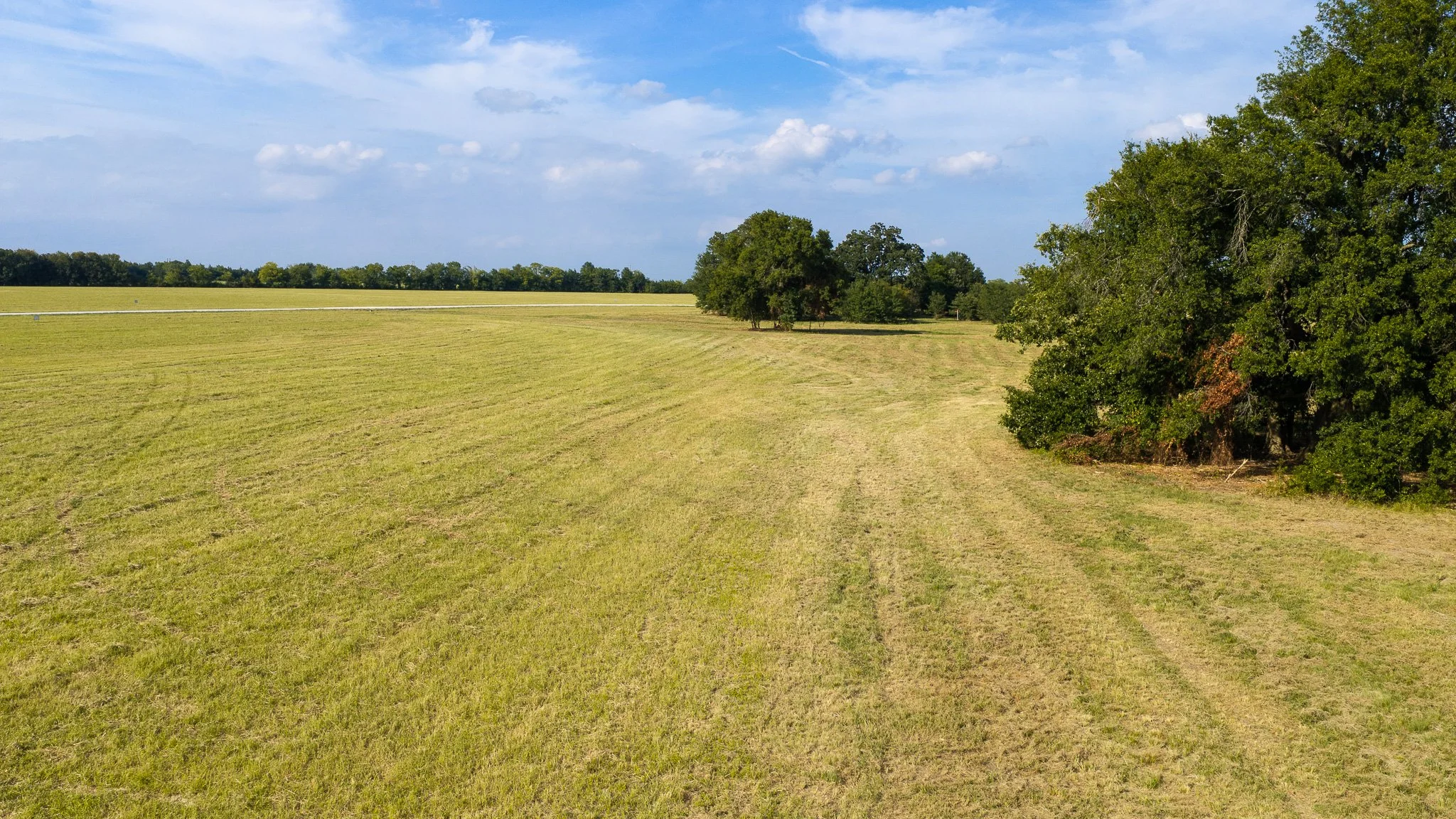 landscape-aerial-summerdale--6.jpg